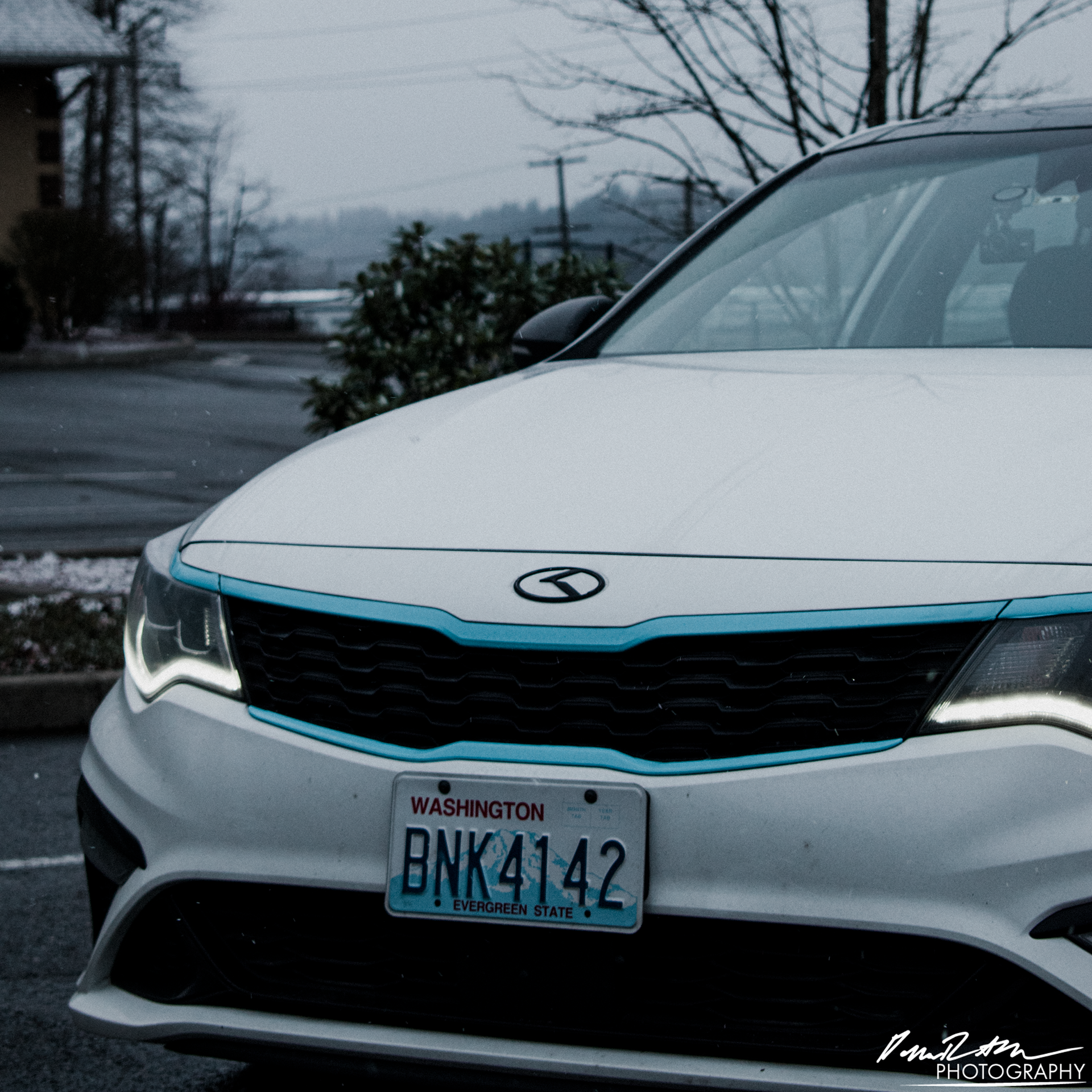 Snow White Pearl, Auburn WA