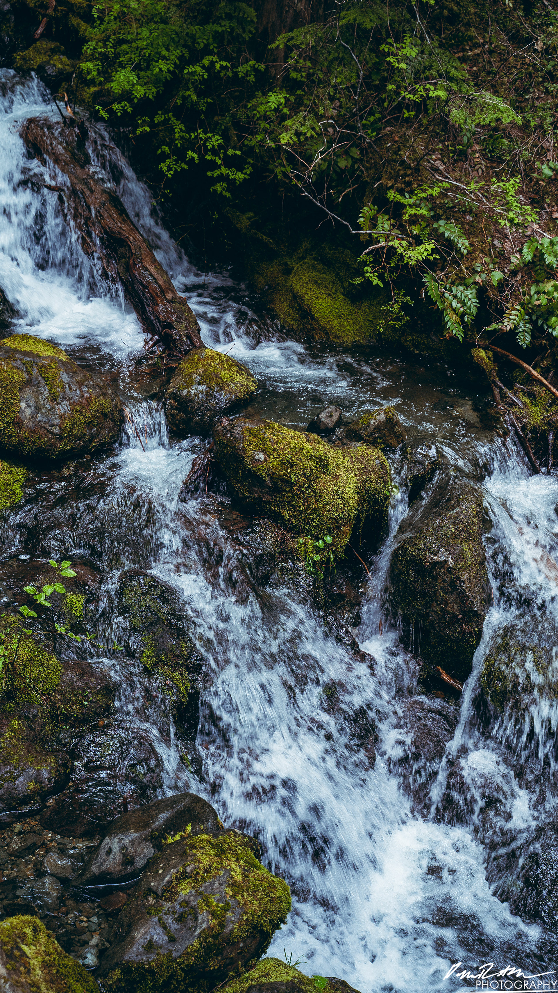 Snow Melt - Lena Lake