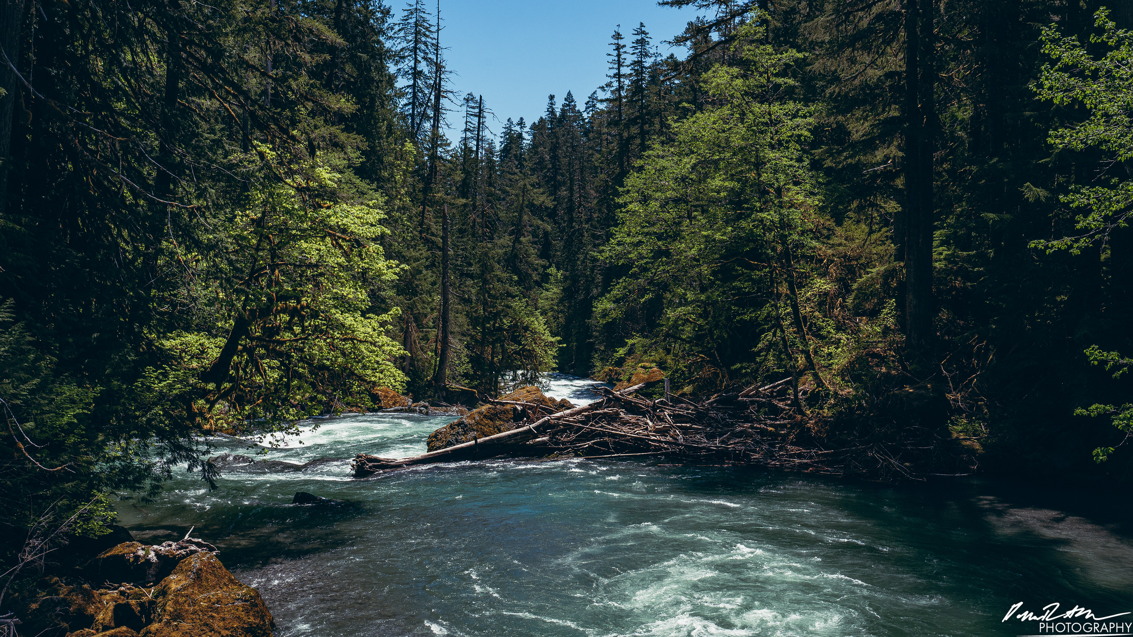Rapids - Lake Cushman