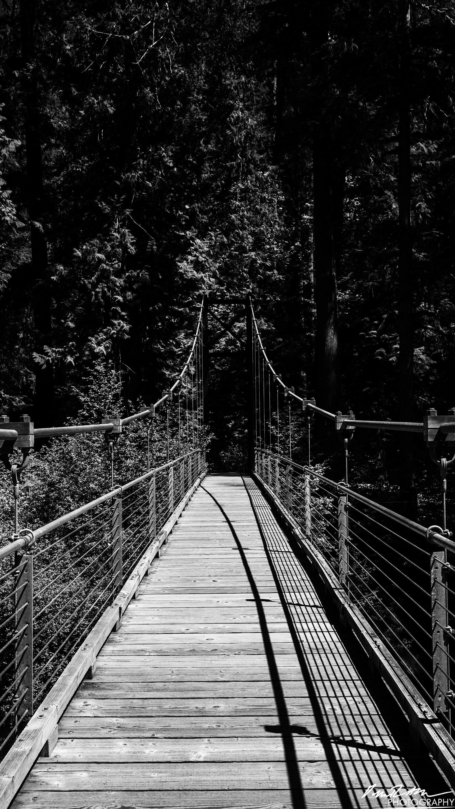 Rapids - Lake Cushman