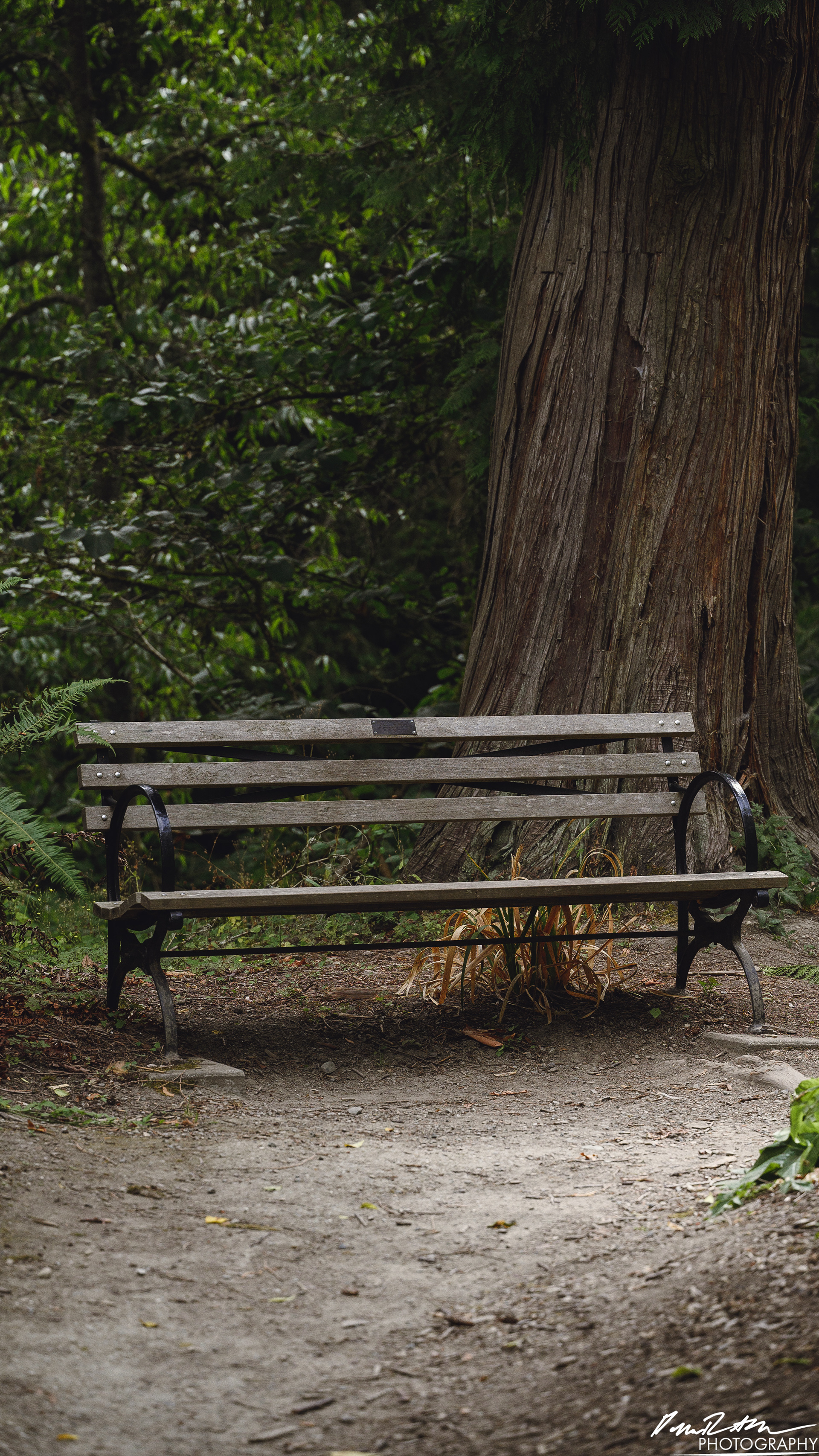 All Alone - Seattle WA