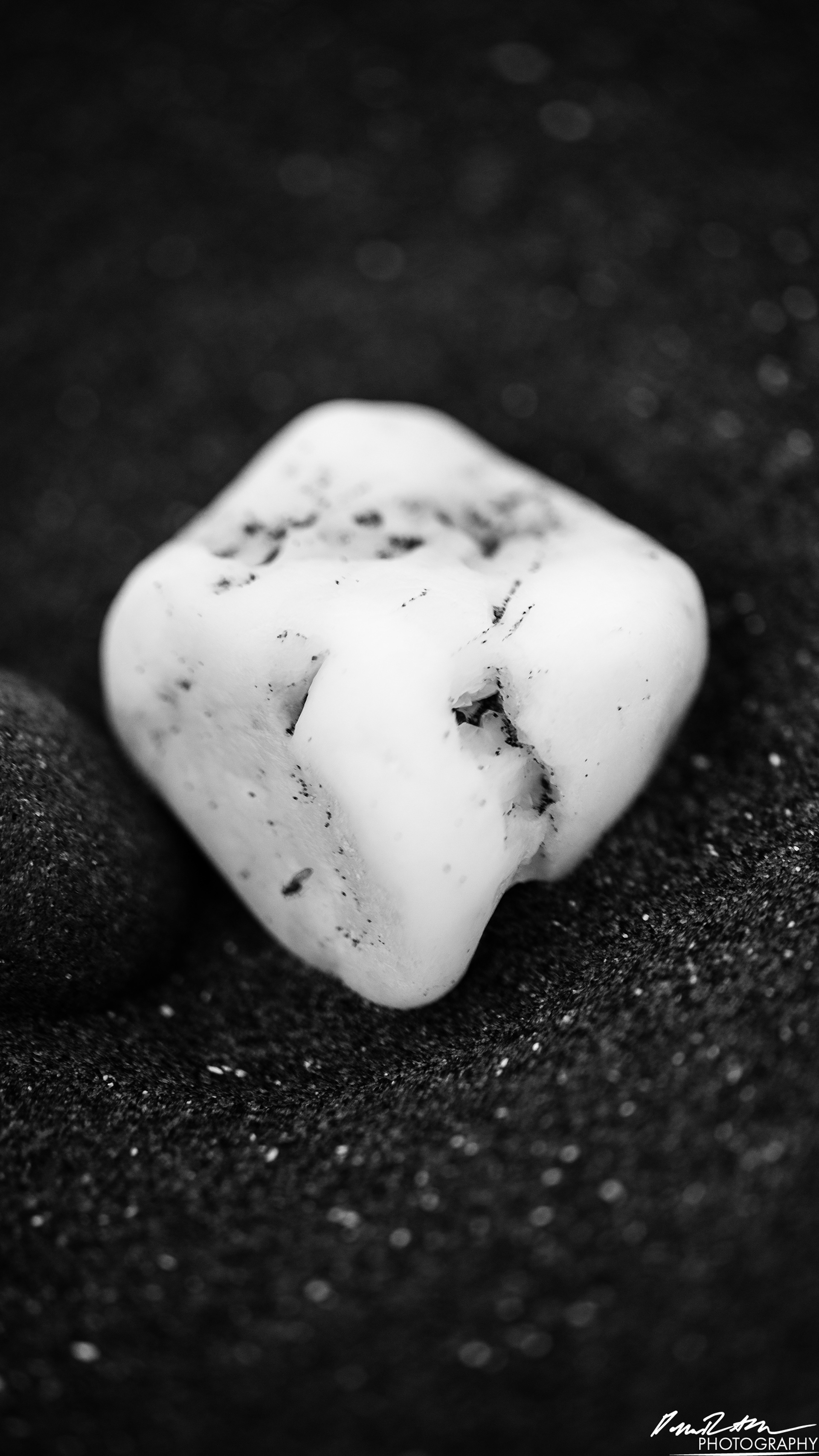 The Beach of Life - Kalaloch 