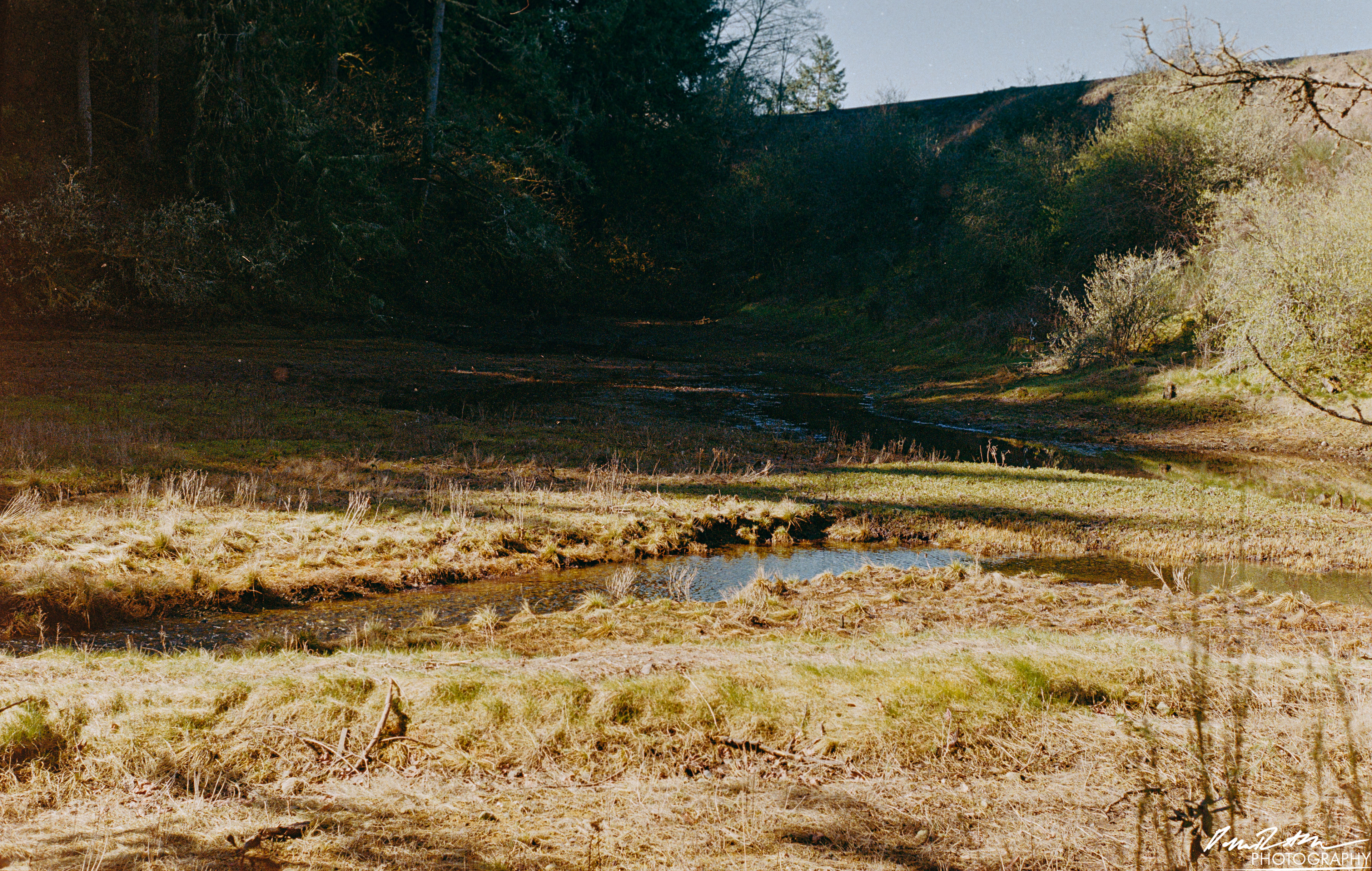 Fujifilm 400 - Dupont WA