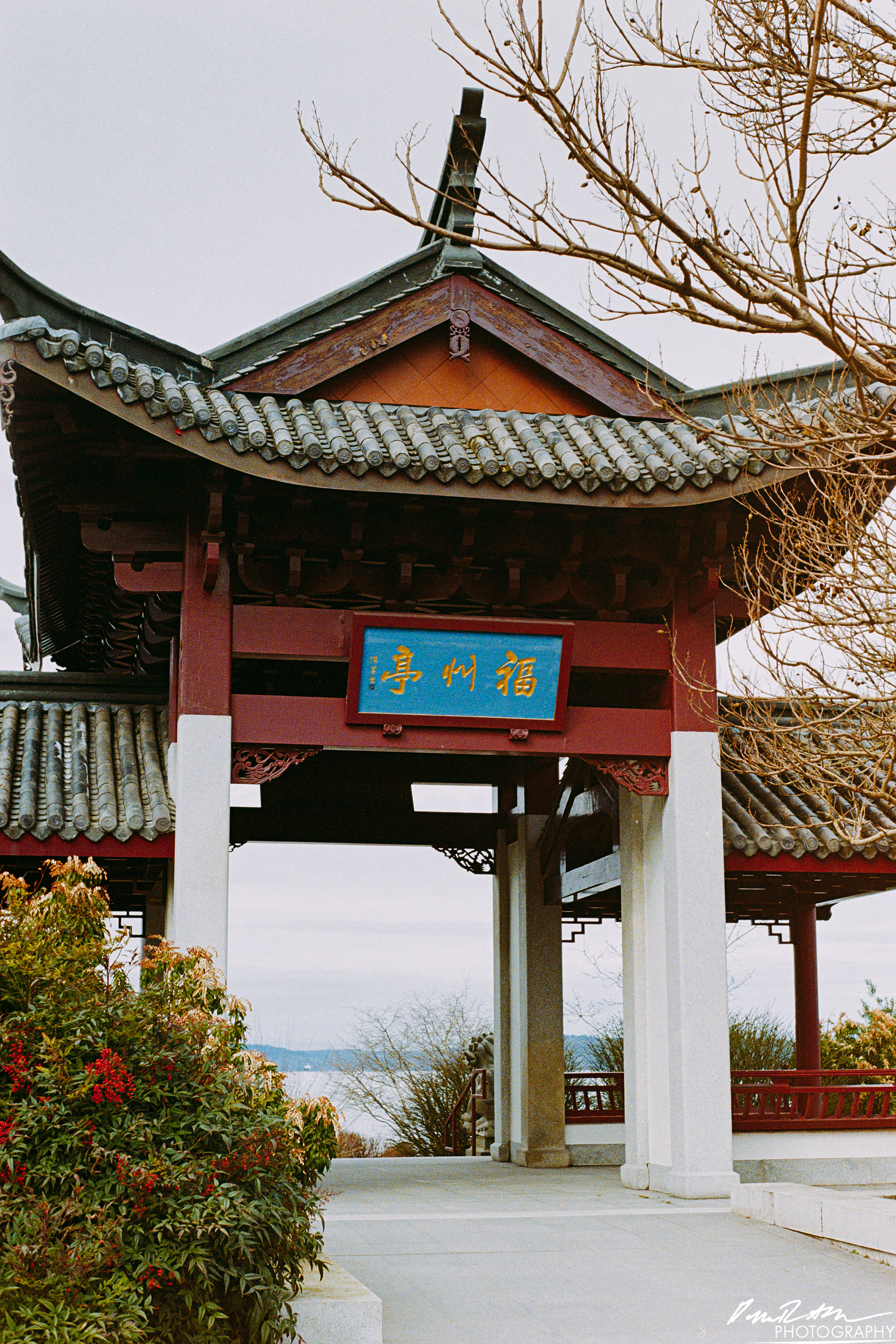 Fujifilm 400 - Tacoma WA