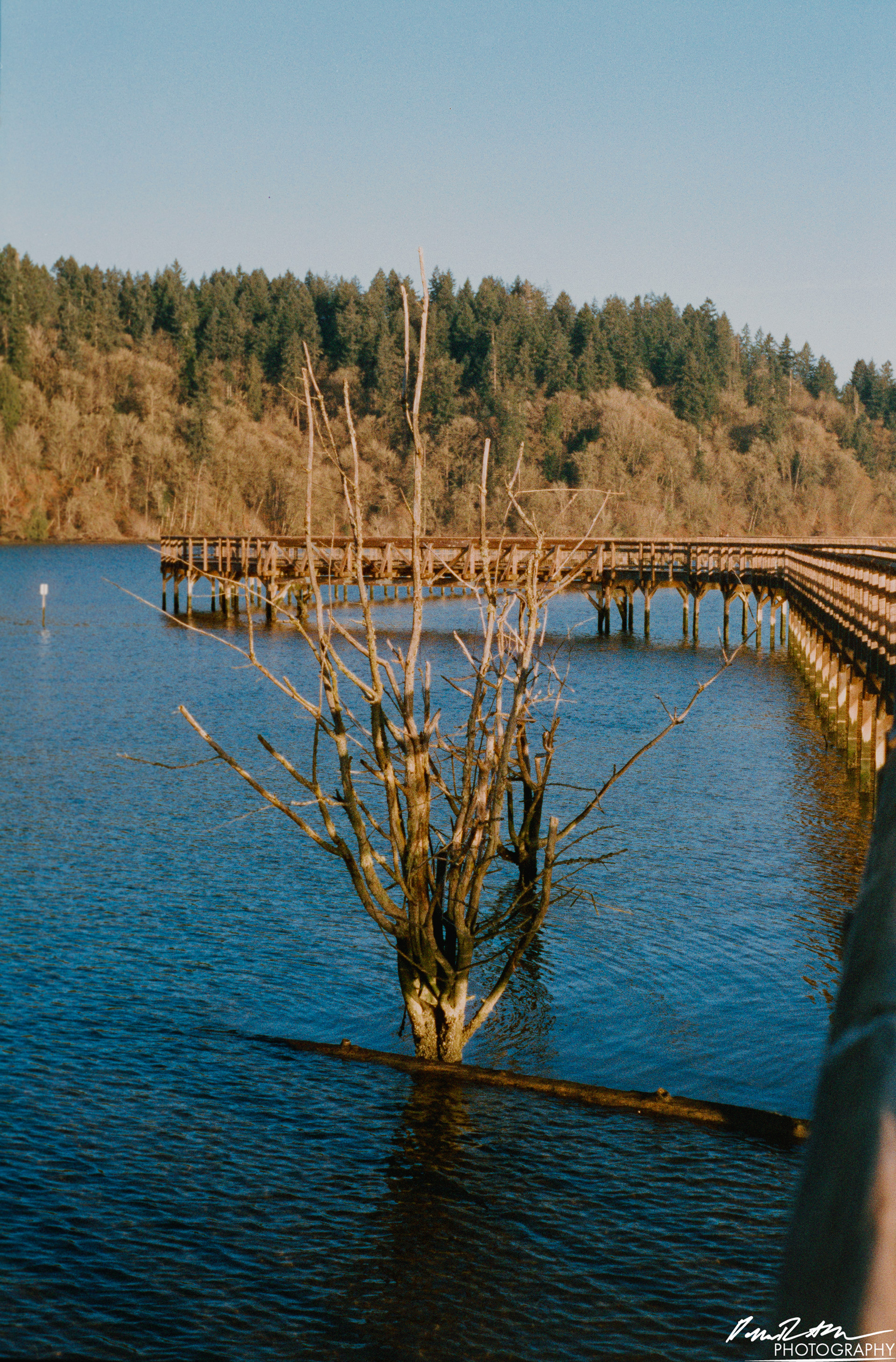 Pheonix 200 - Nisqually Wildlife Preserve WA