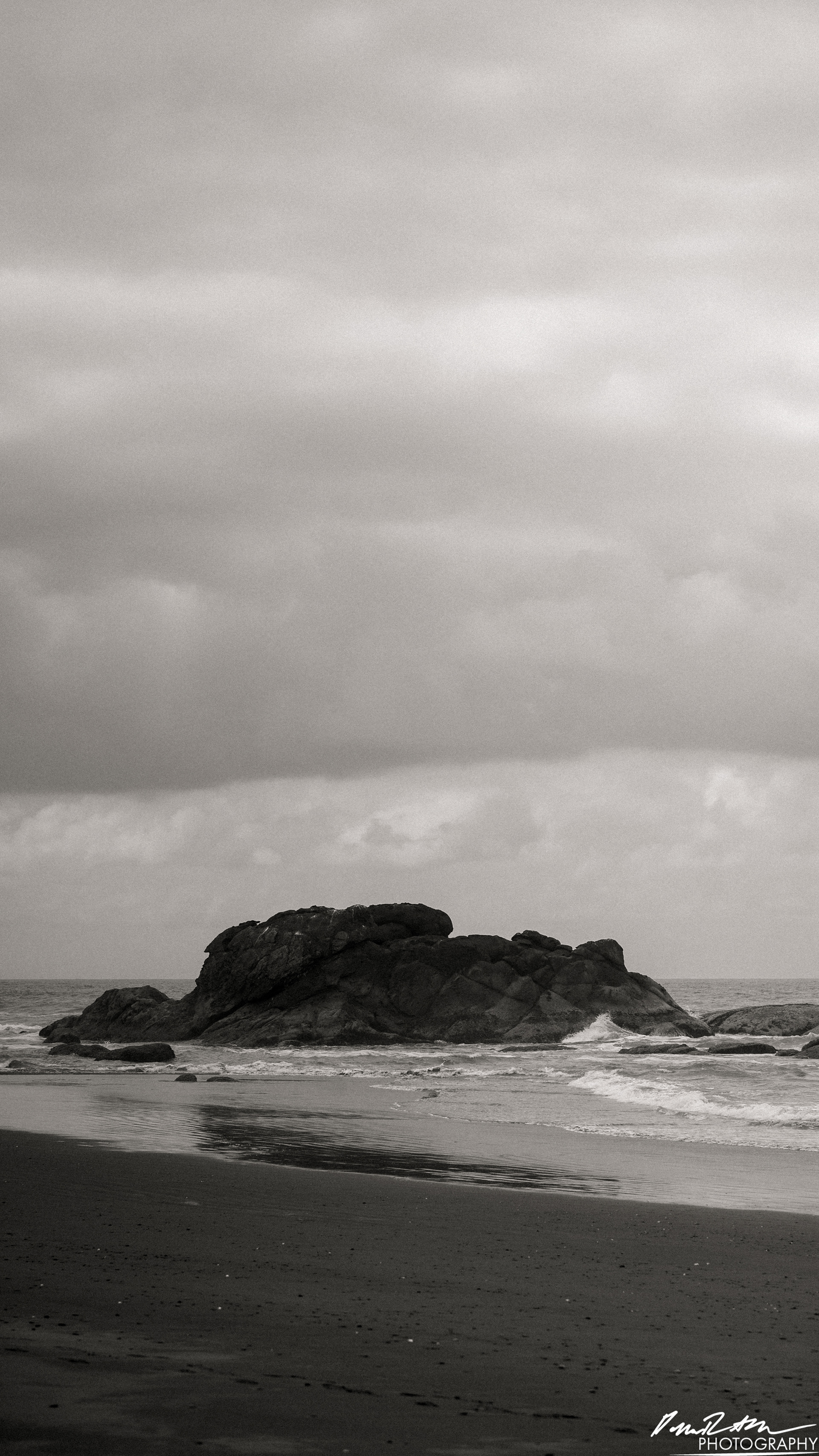 The Beach of Life - Kalaloch 