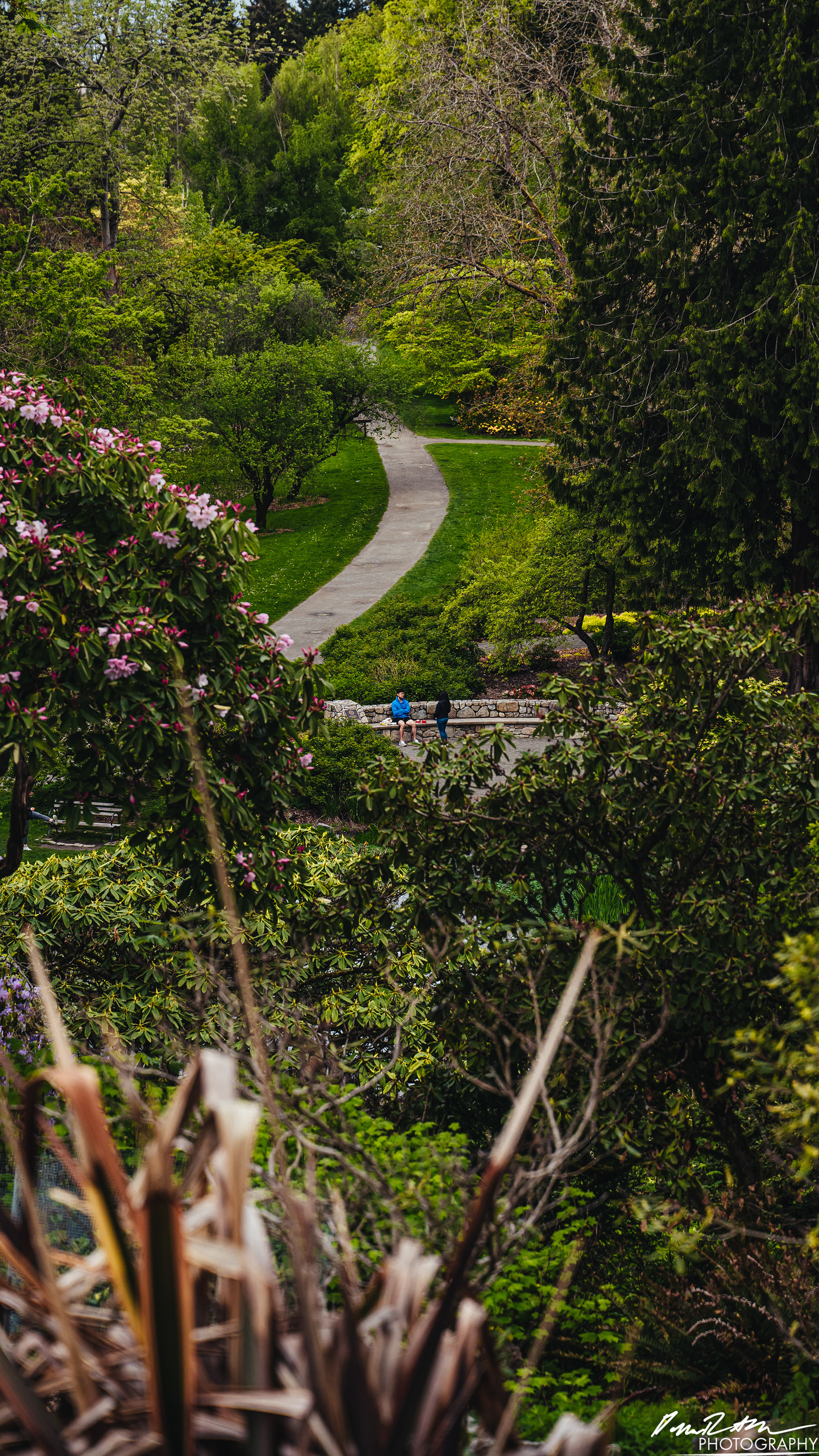 Arboretum - Seattle WA