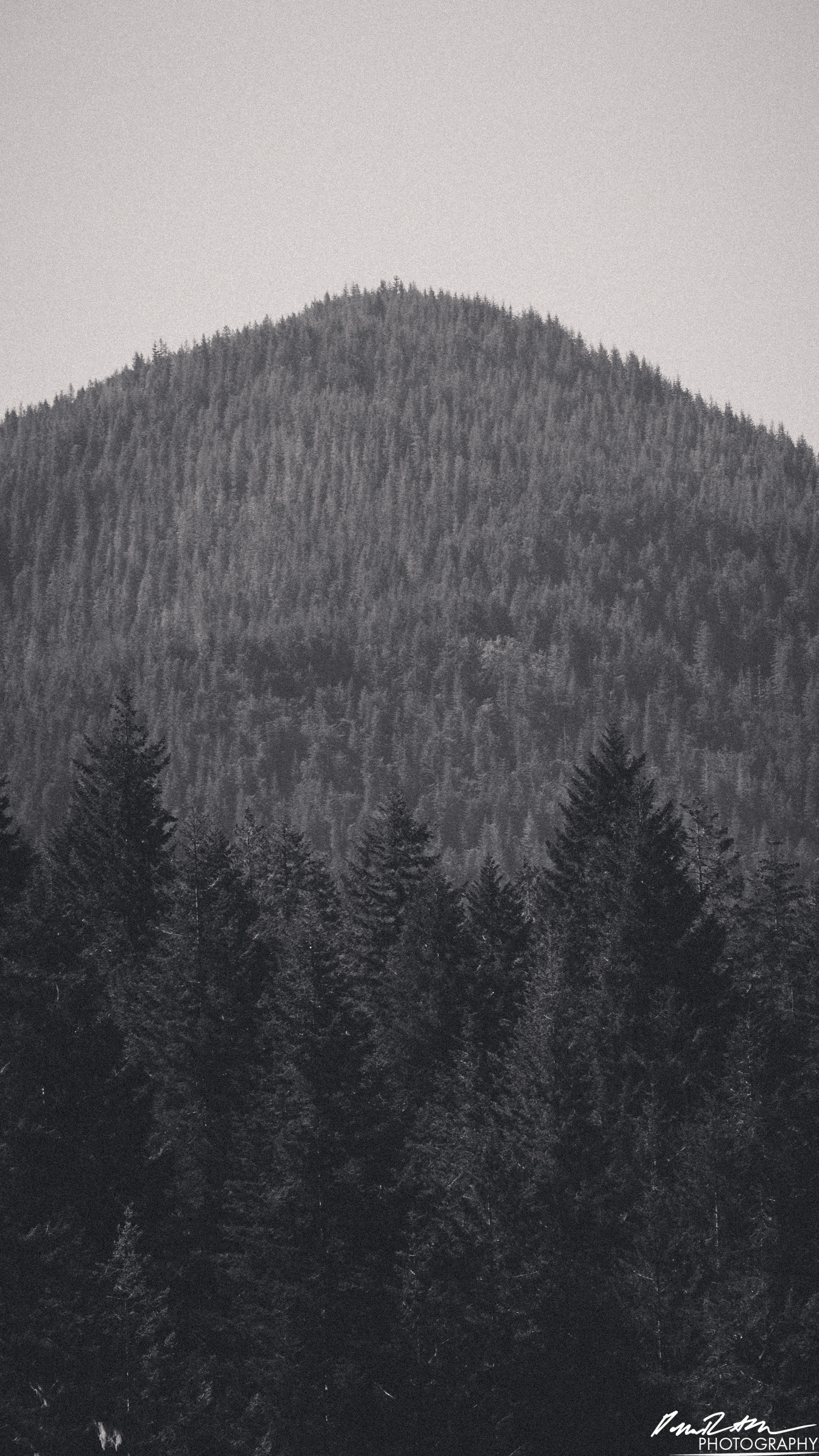 CAUTION - Olympic National Forest