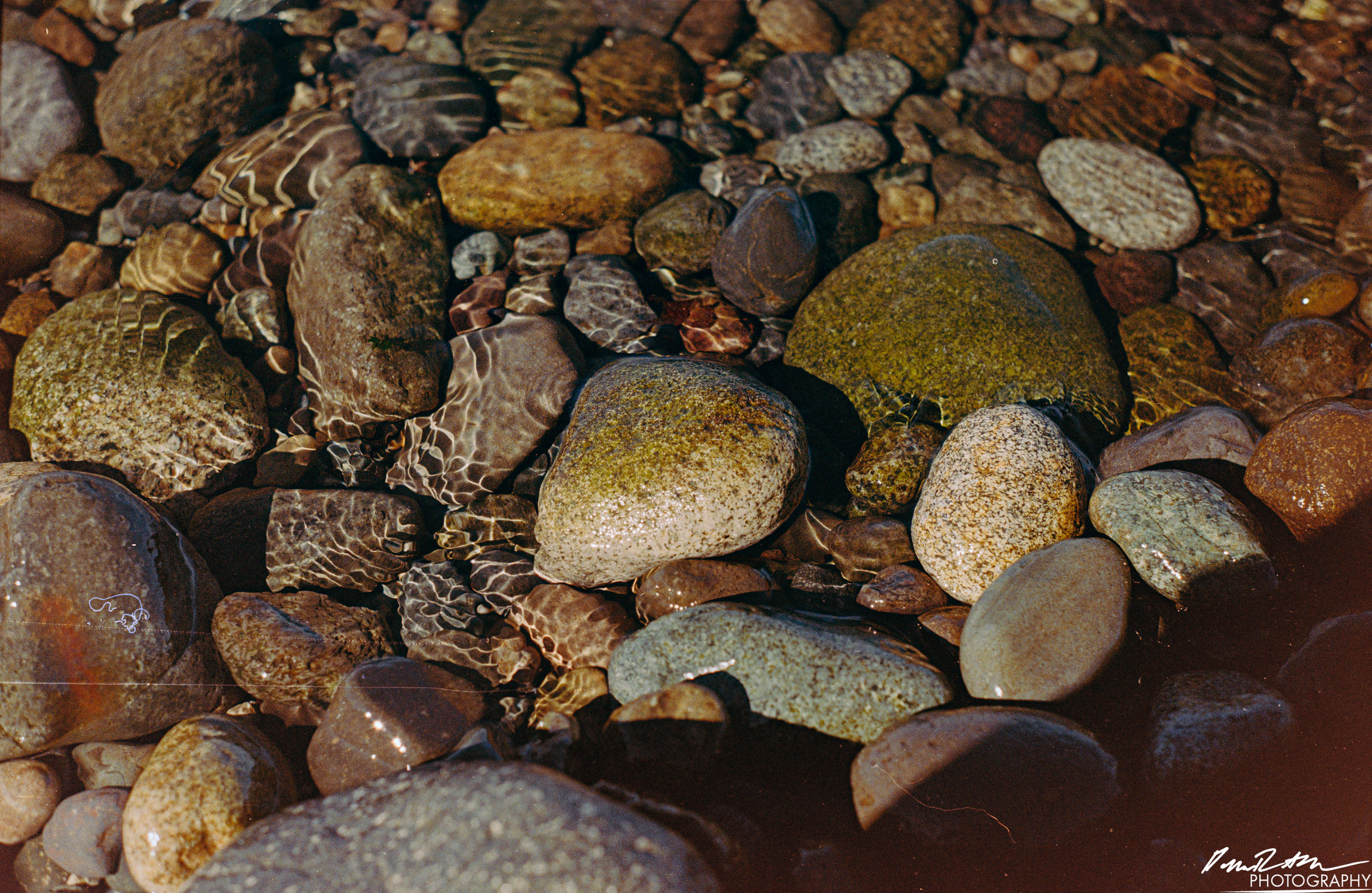 Fujifilm 400 - Dupont WA