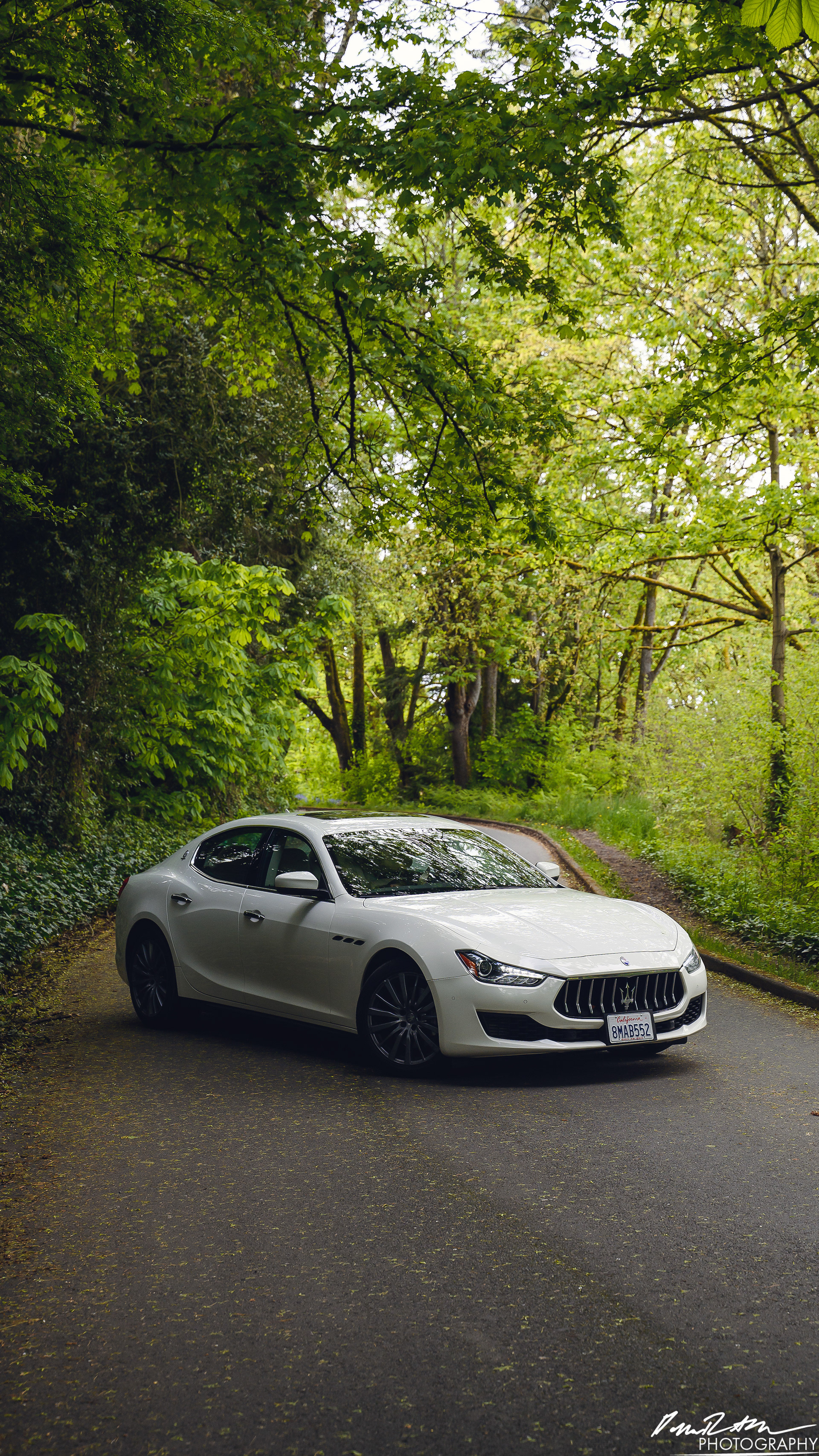 Stand Off - Seattle WA