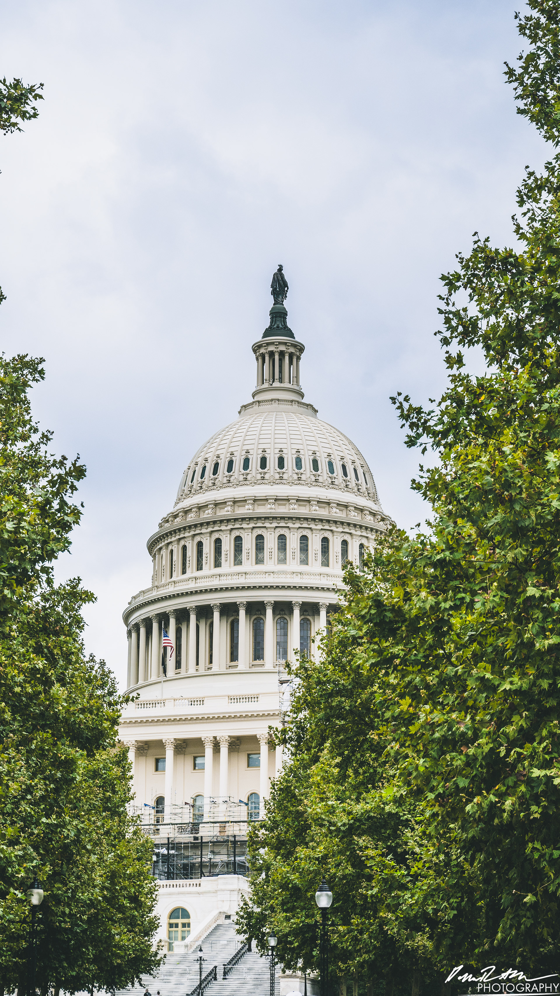 Dome - Washington DC