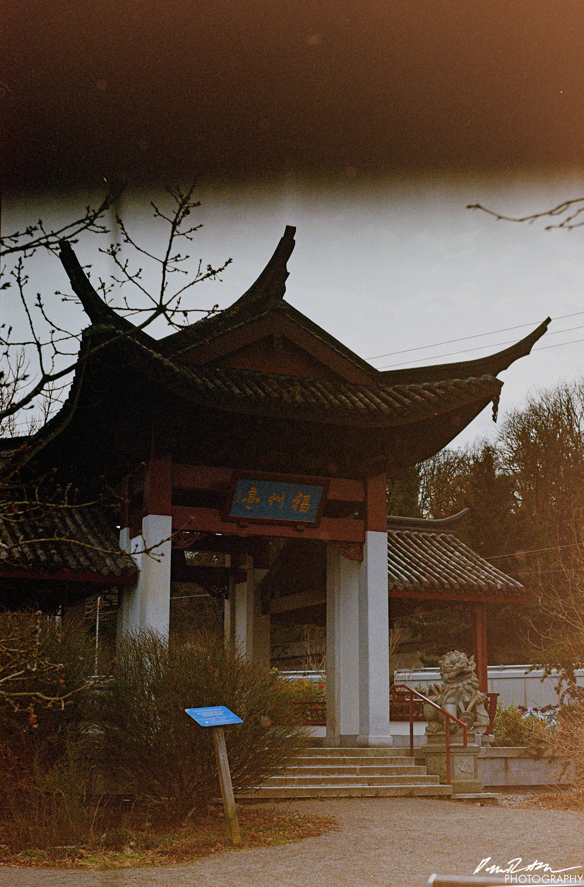 Fujifilm 400 - Tacoma WA