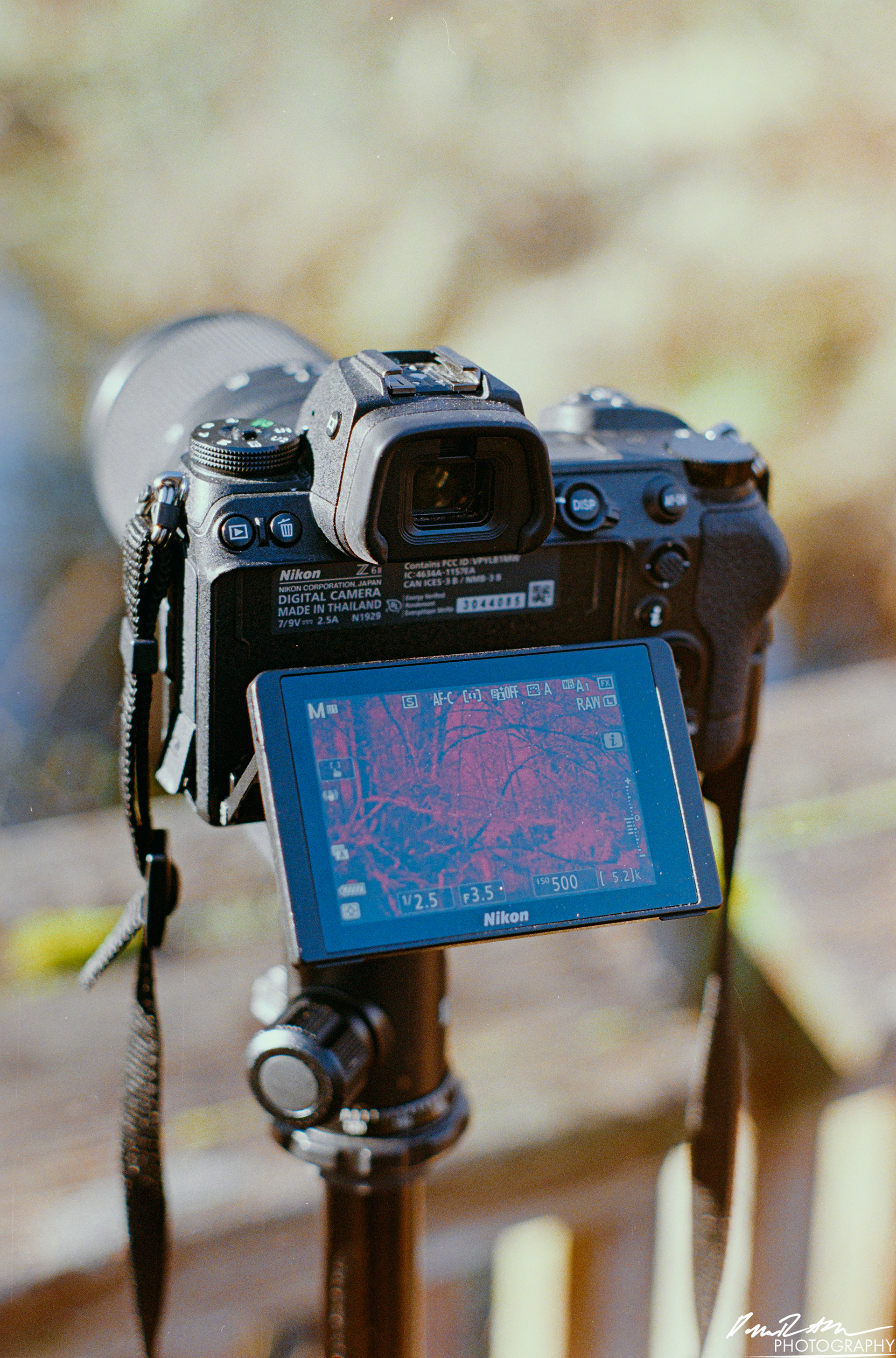 Fujifilm 400 - Nisqually Wildlife Preserve WA