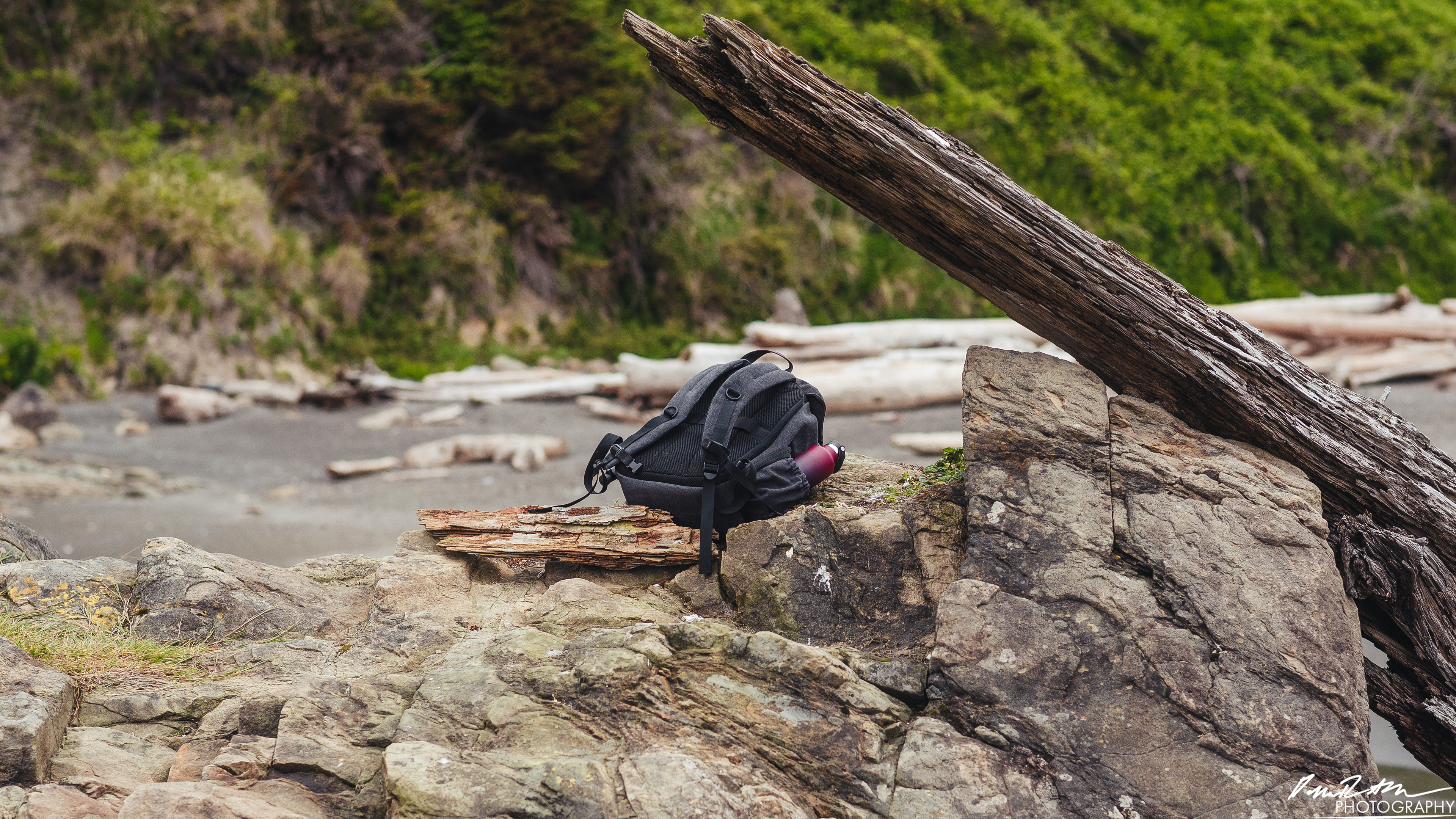 The Beach of Life - Kalaloch 