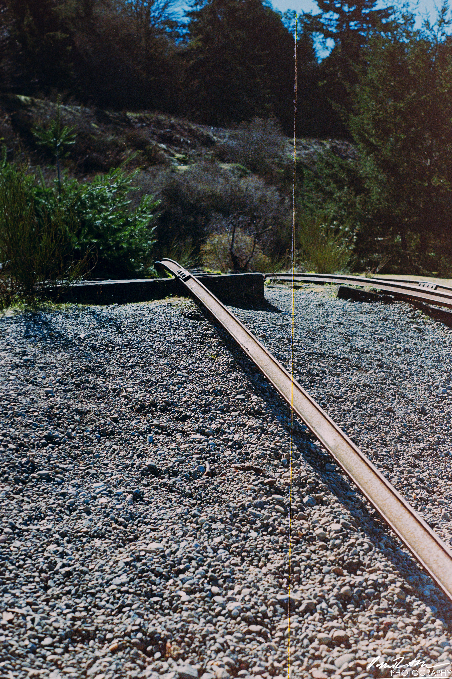 Fujifilm 400 - Dupont WA