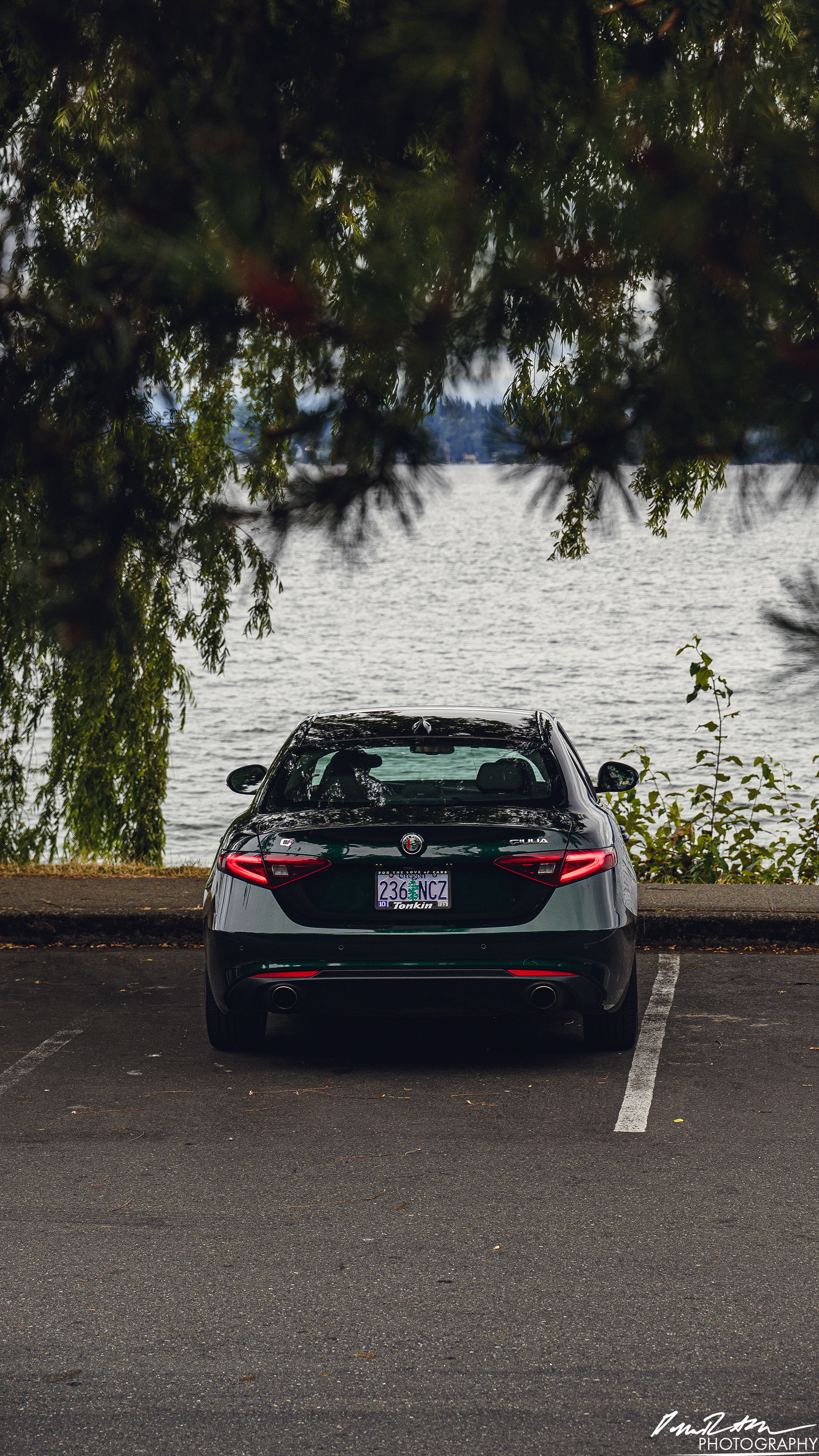 Italian Excellence - Seattle WA