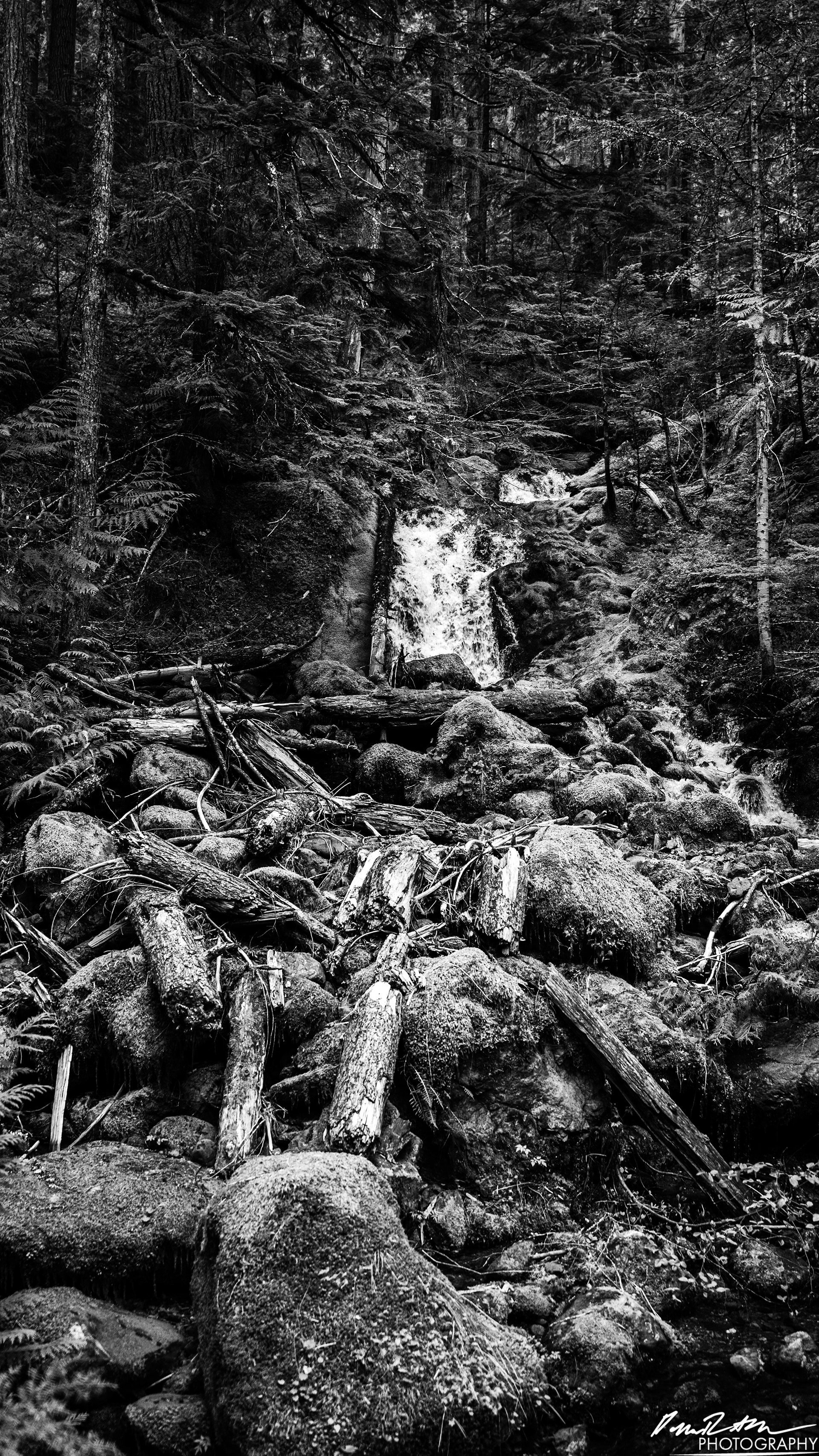 Snow Melt - Lena Lake