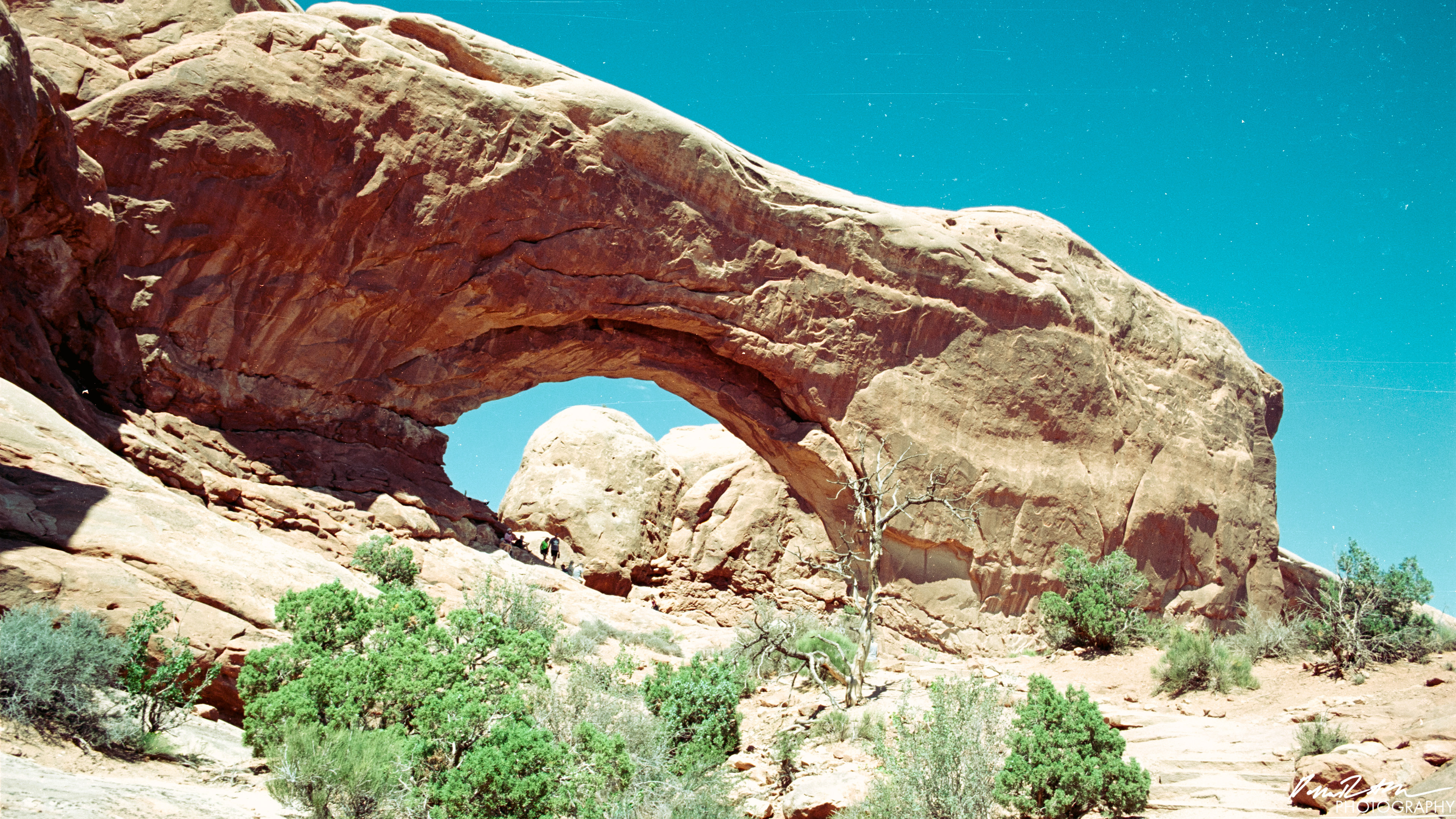 Arches on 35mm - Arches National Park
