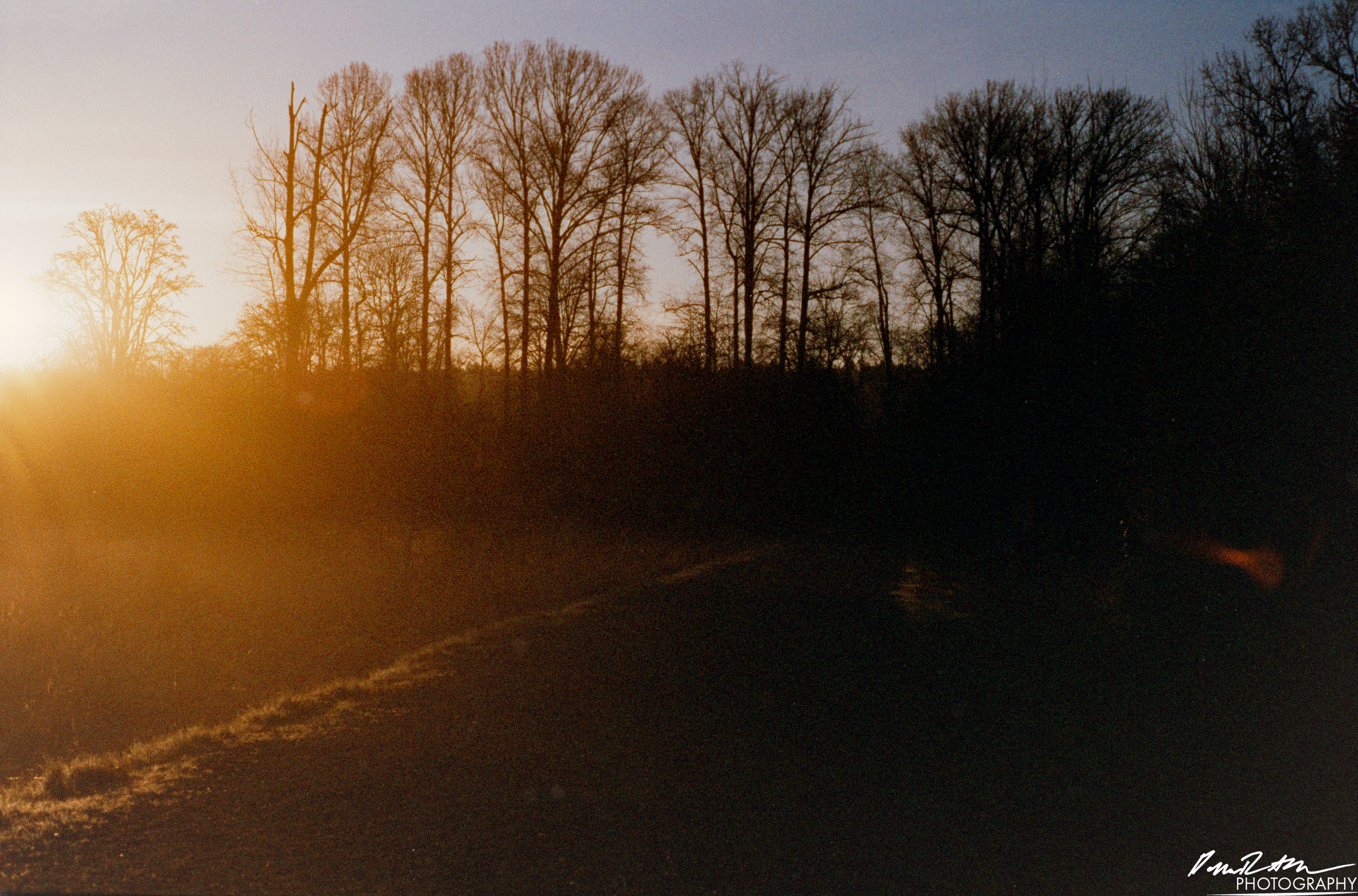 Pheonix 200 - Nisqually Wildlife Preserve WA