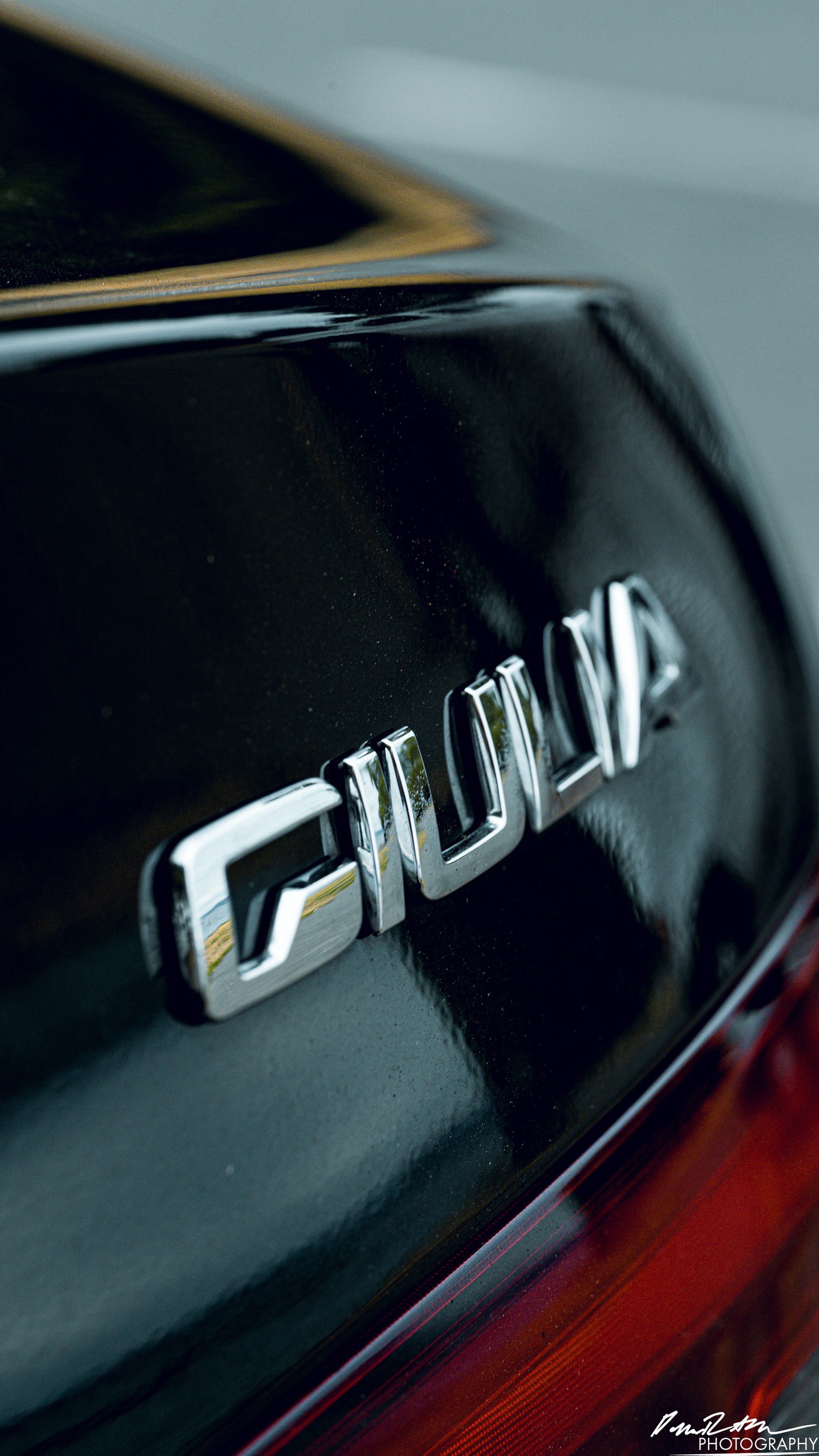 Italian Excellence - Seattle WA