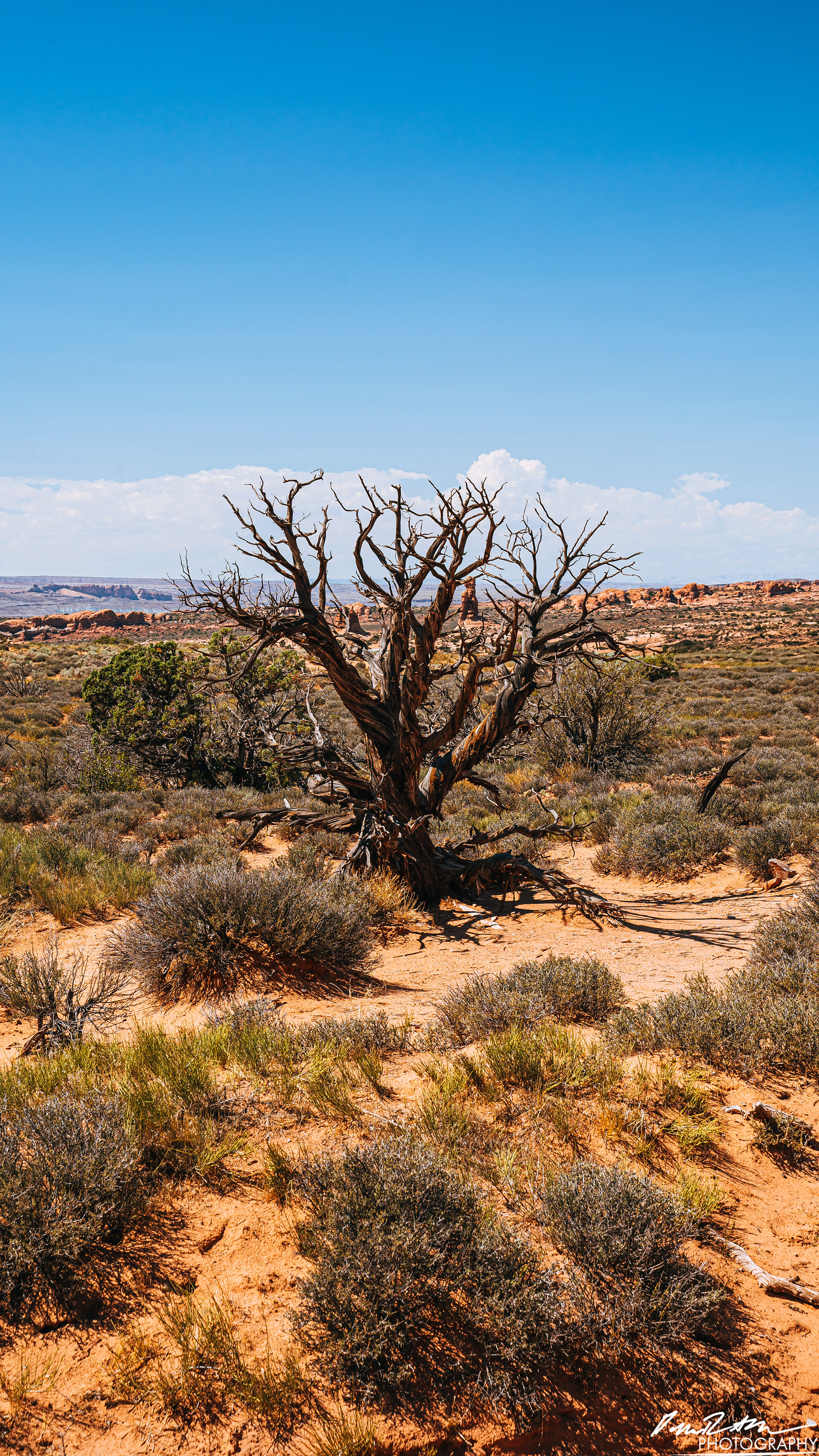 Millions of Years - Arches National Park