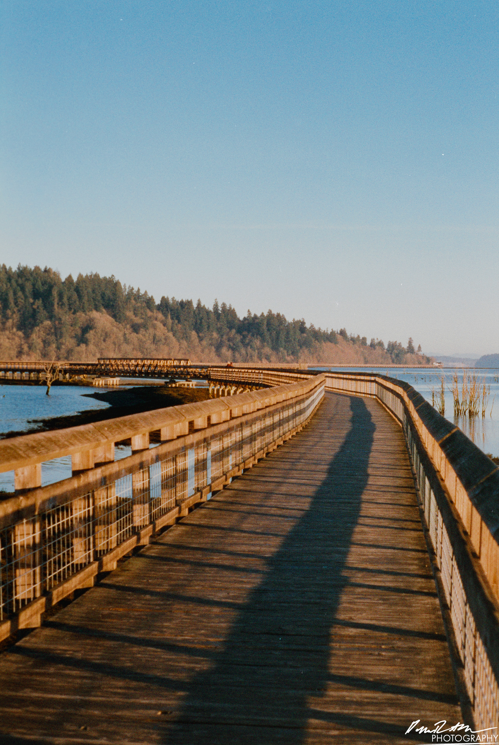 Pheonix 200 - Nisqually Wildlife Preserve WA