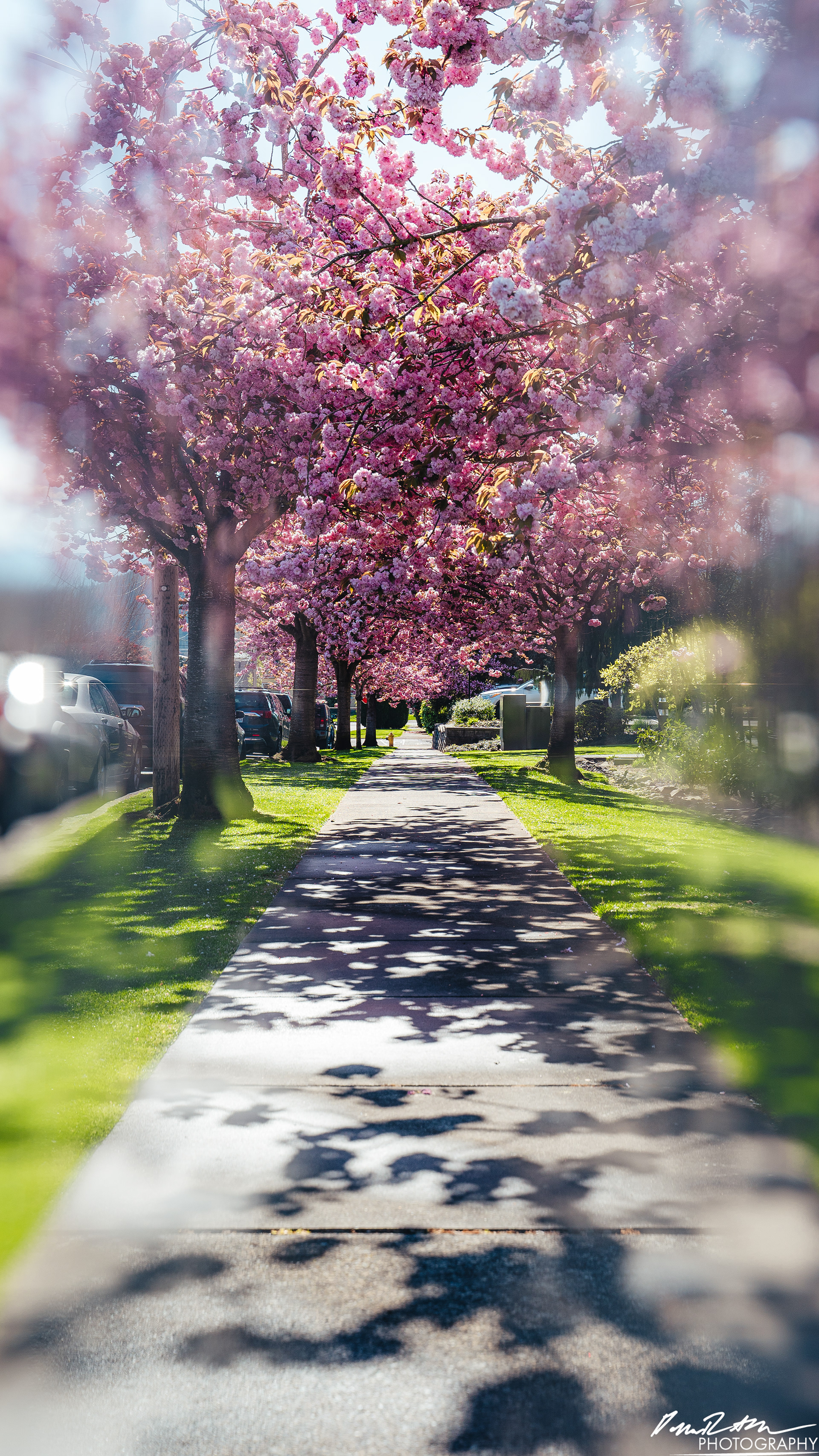 Out of Focus - Enumclaw WA