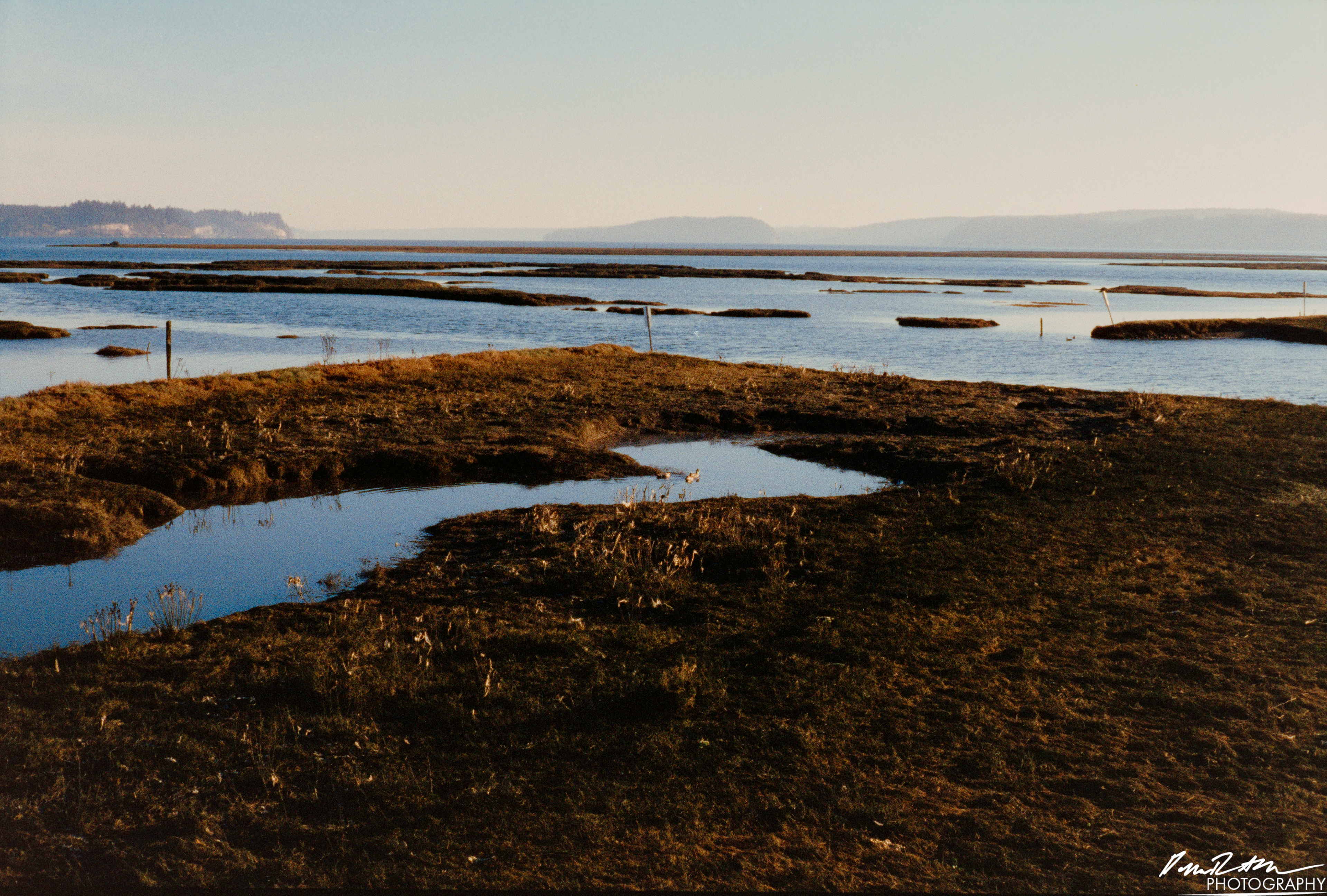 Pheonix 200 - Nisqually Wildlife Preserve WA