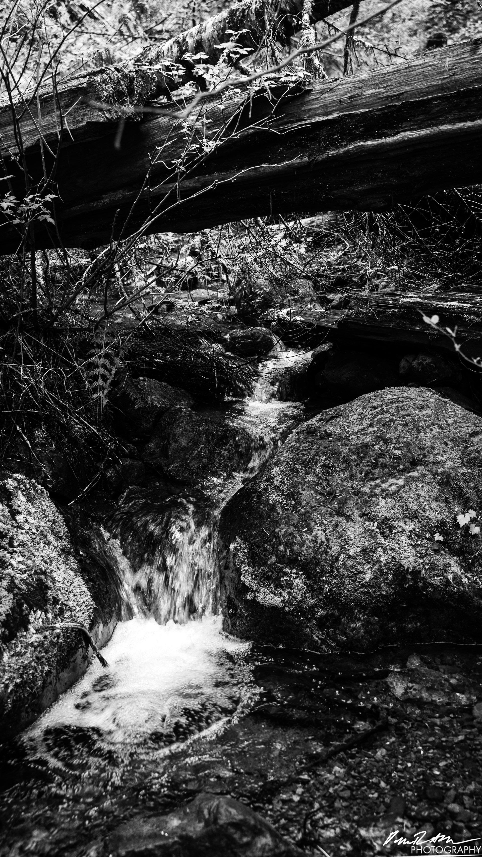 Snow Melt - Lena Lake