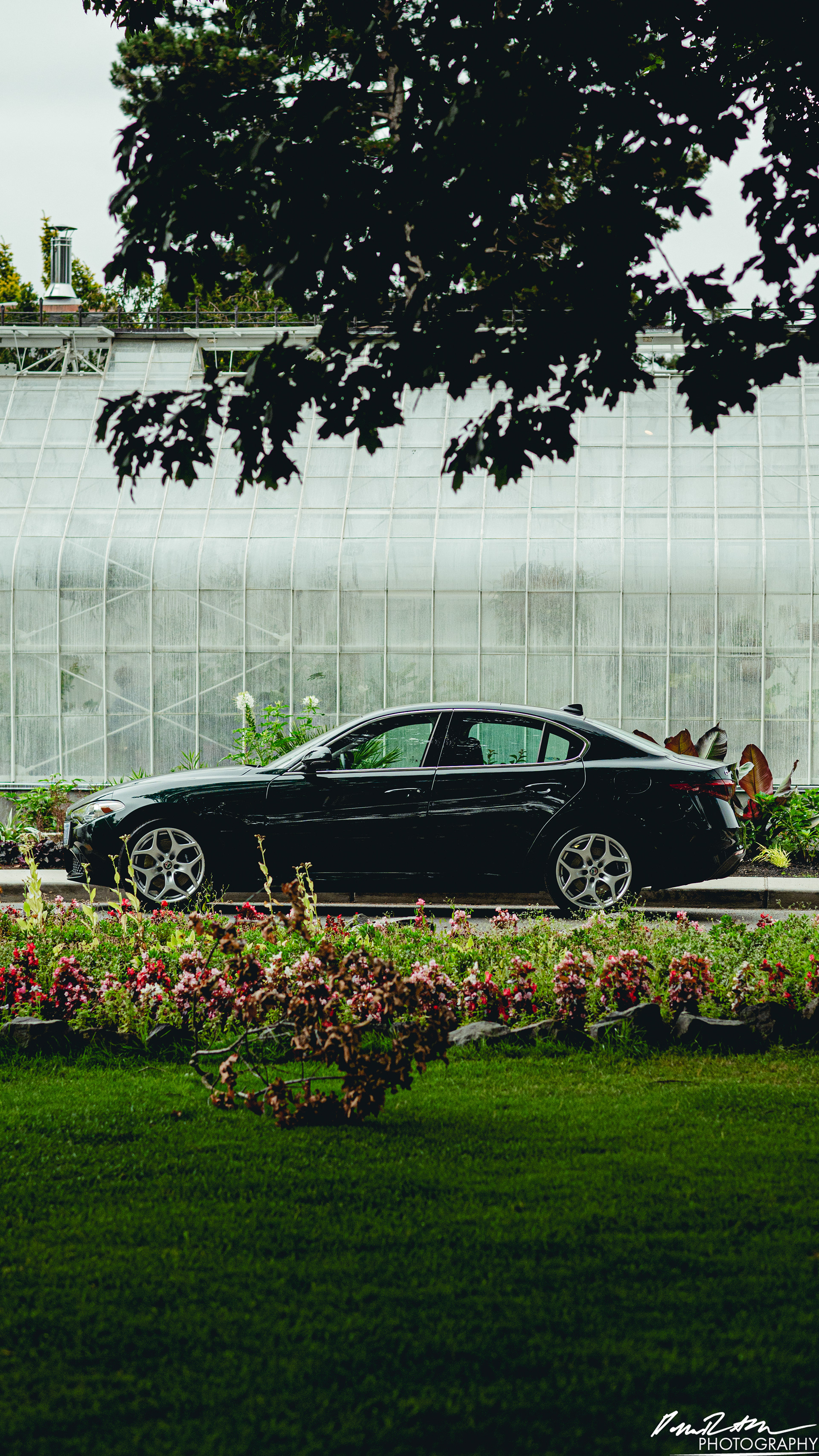 Green Machine - Tacoma WA