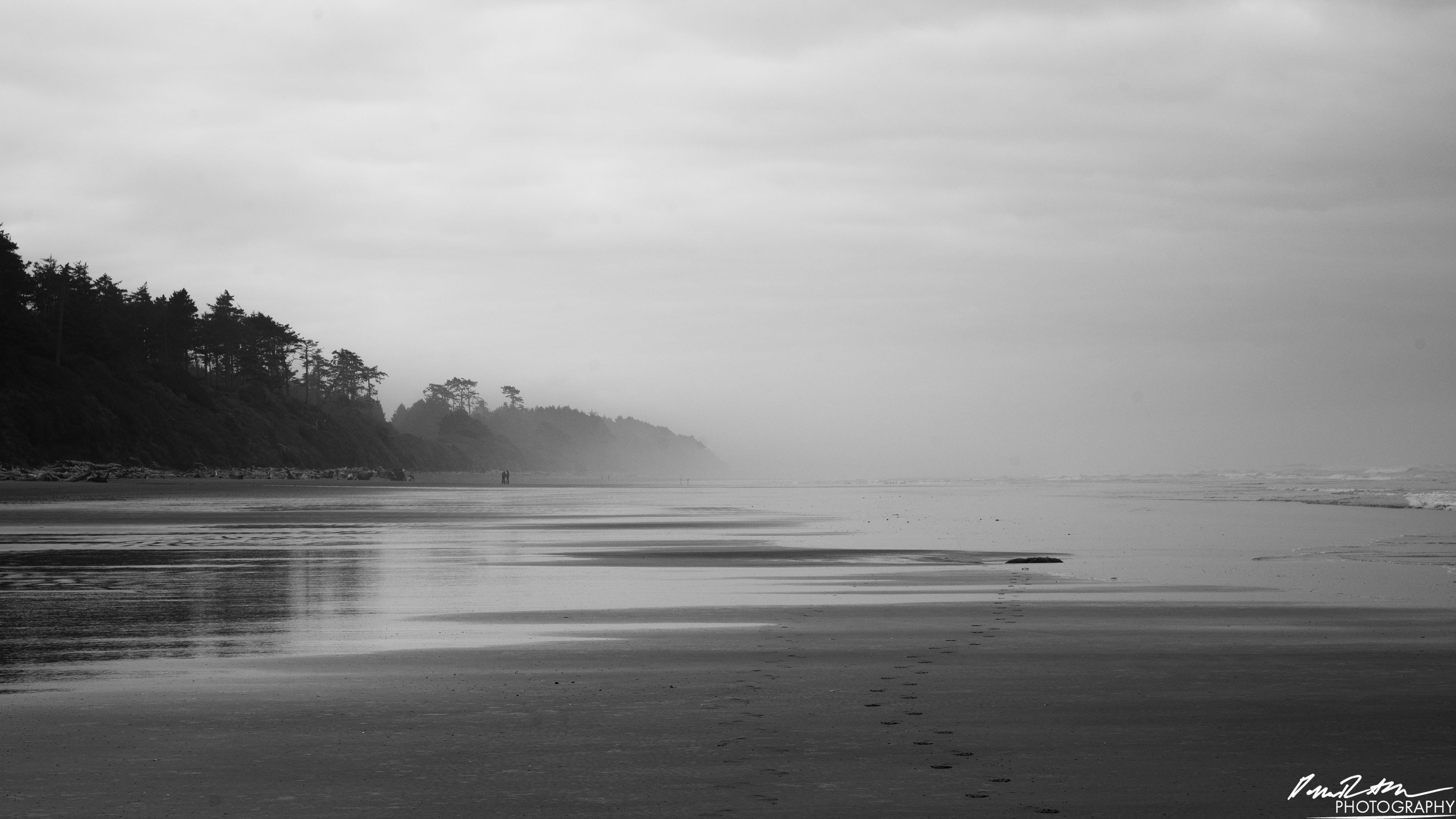 The Beach of Life - Kalaloch 