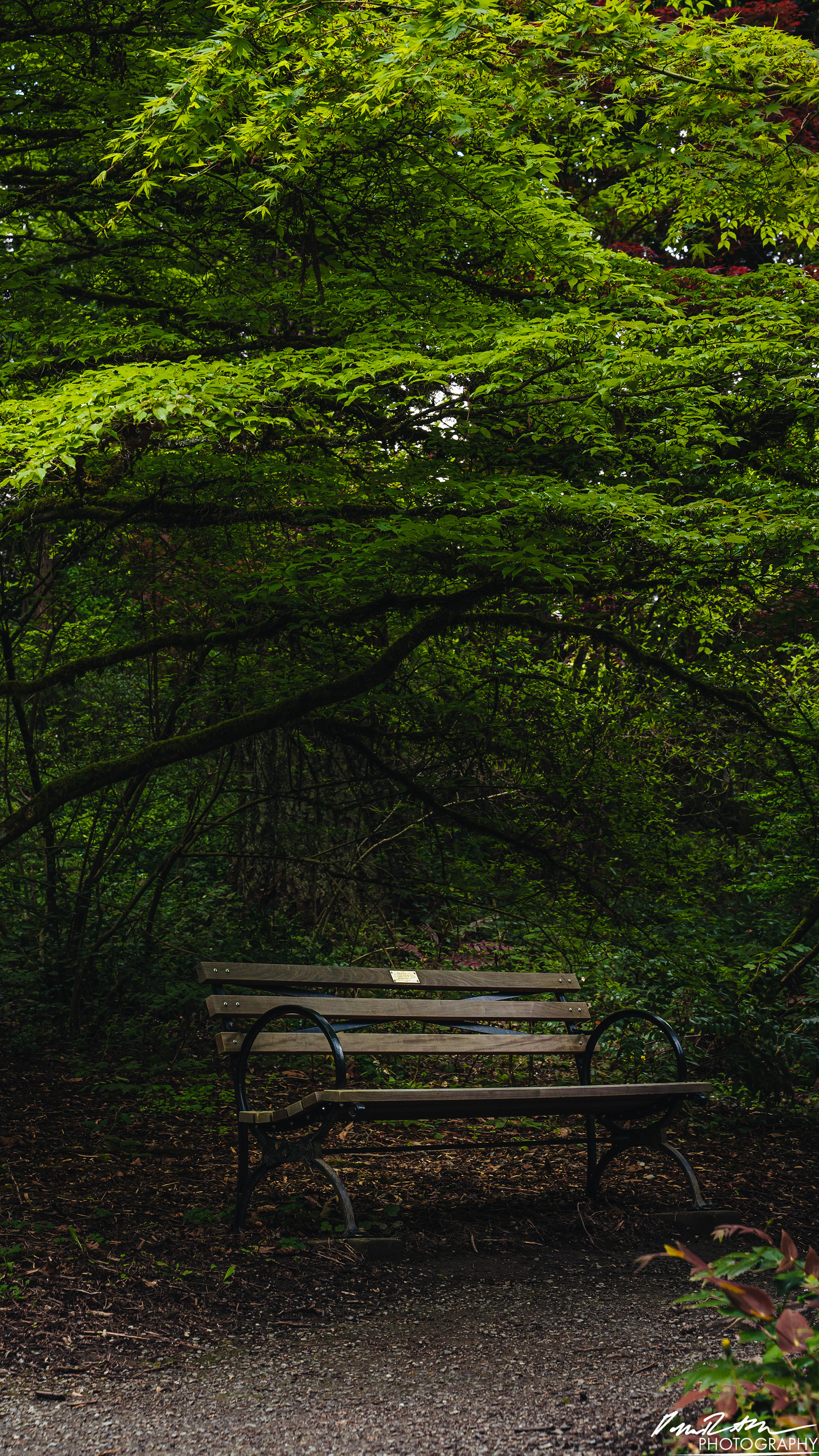 All Alone - Seattle WA