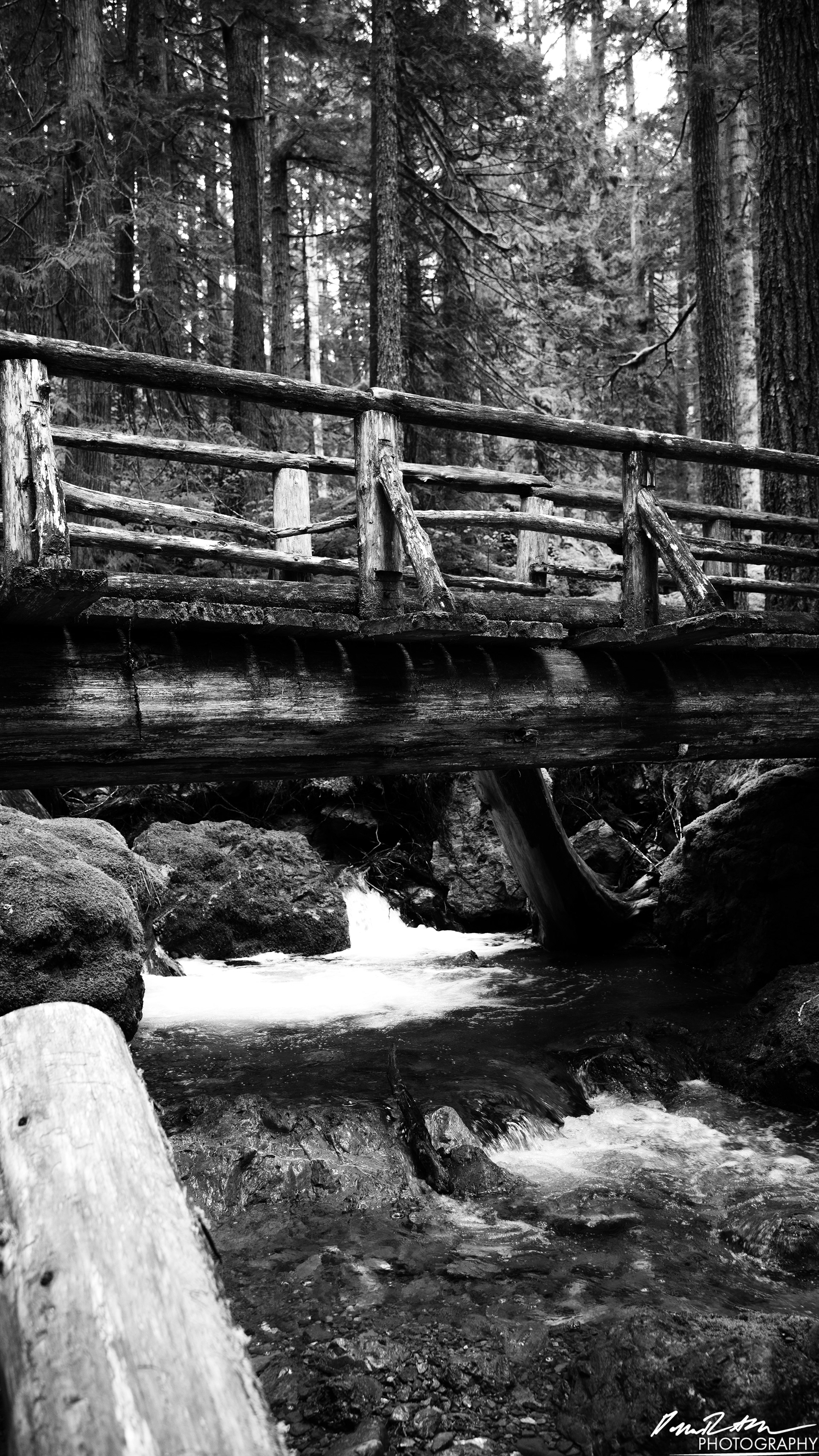 Snow Melt - Lena Lake