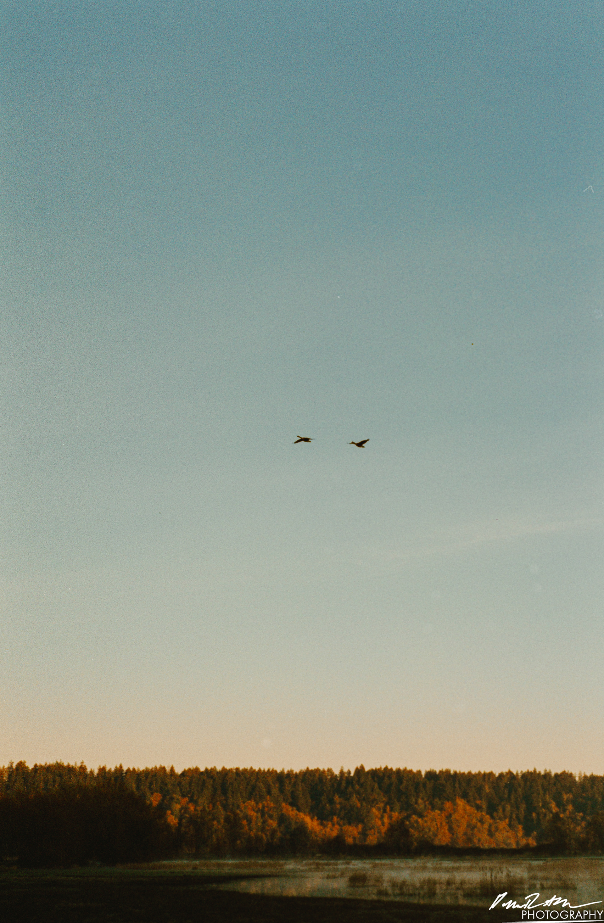 Pheonix 200 - Nisqually Wildlife Preserve WA