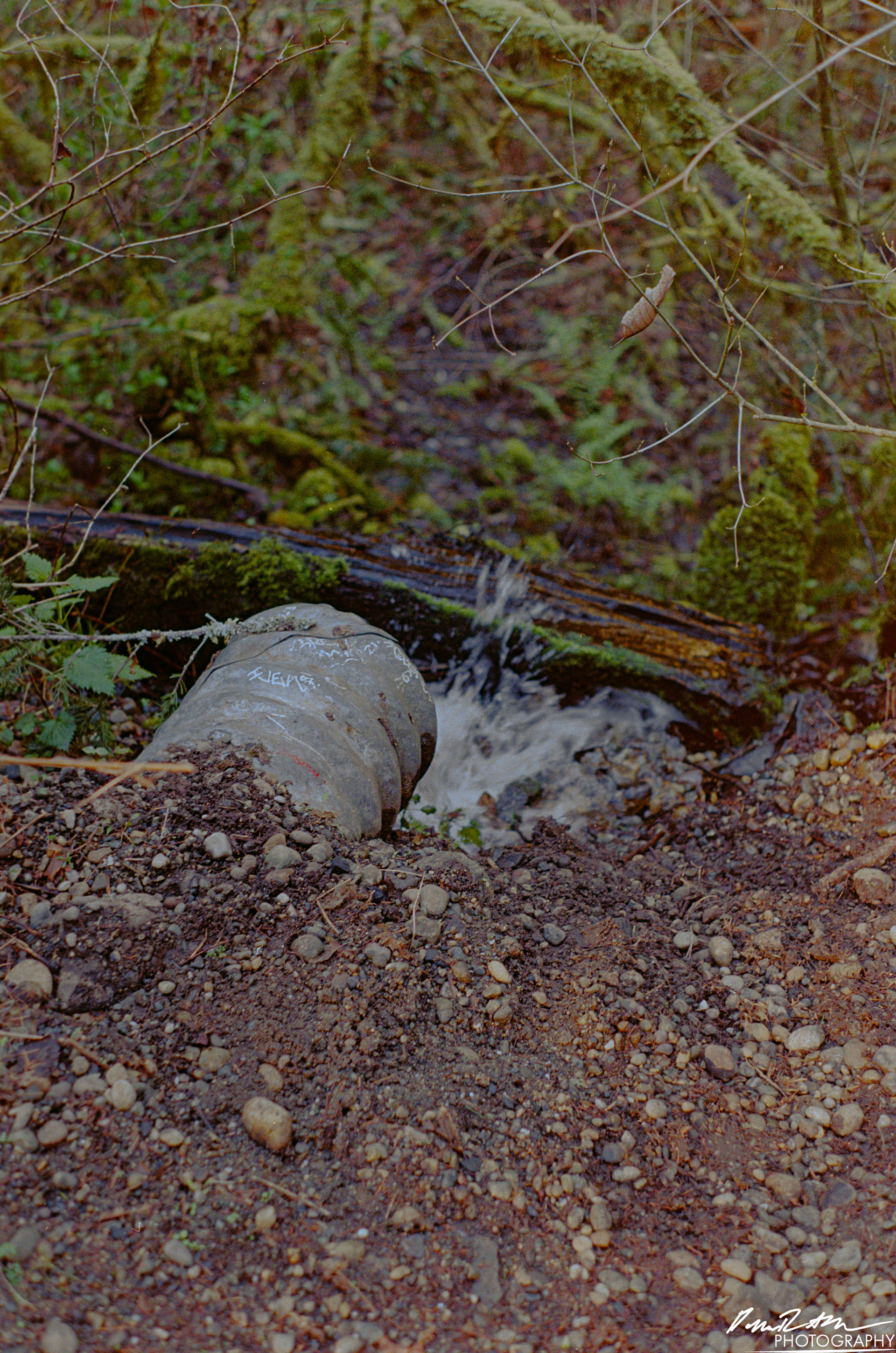 Fujifilm 400 - Dupont WA