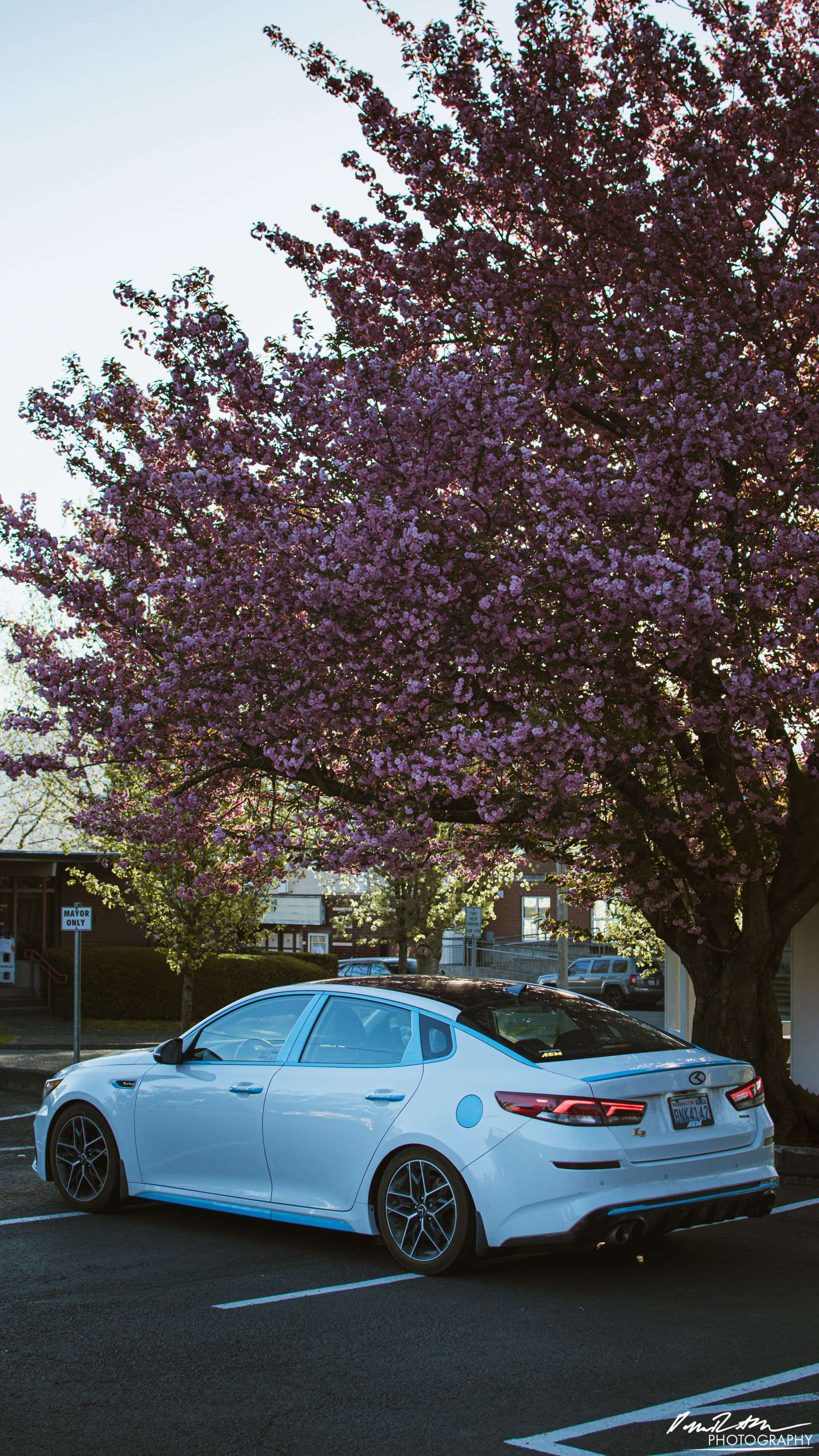 Blossom, Enumclaw WA