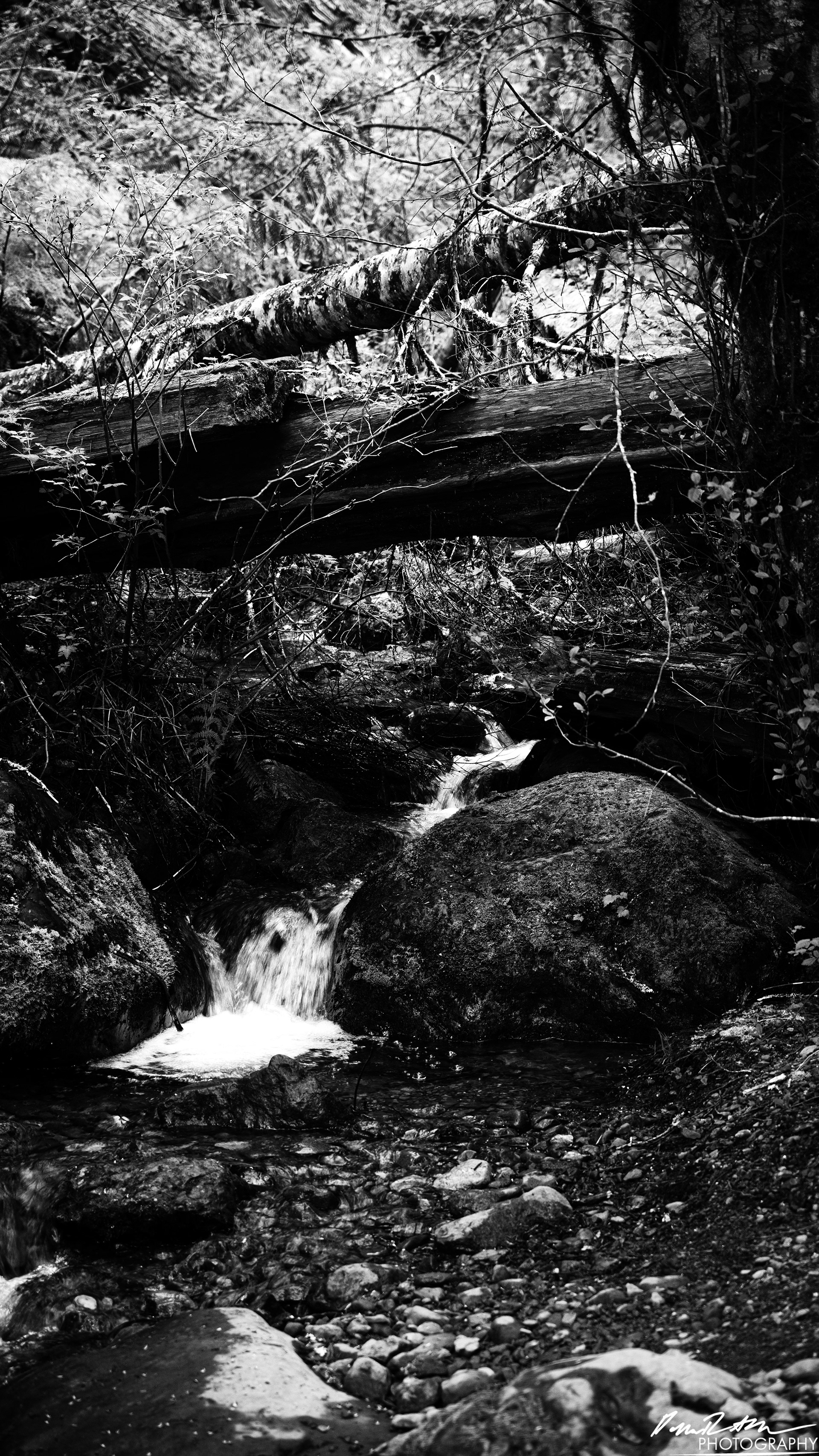 Snow Melt - Lena Lake