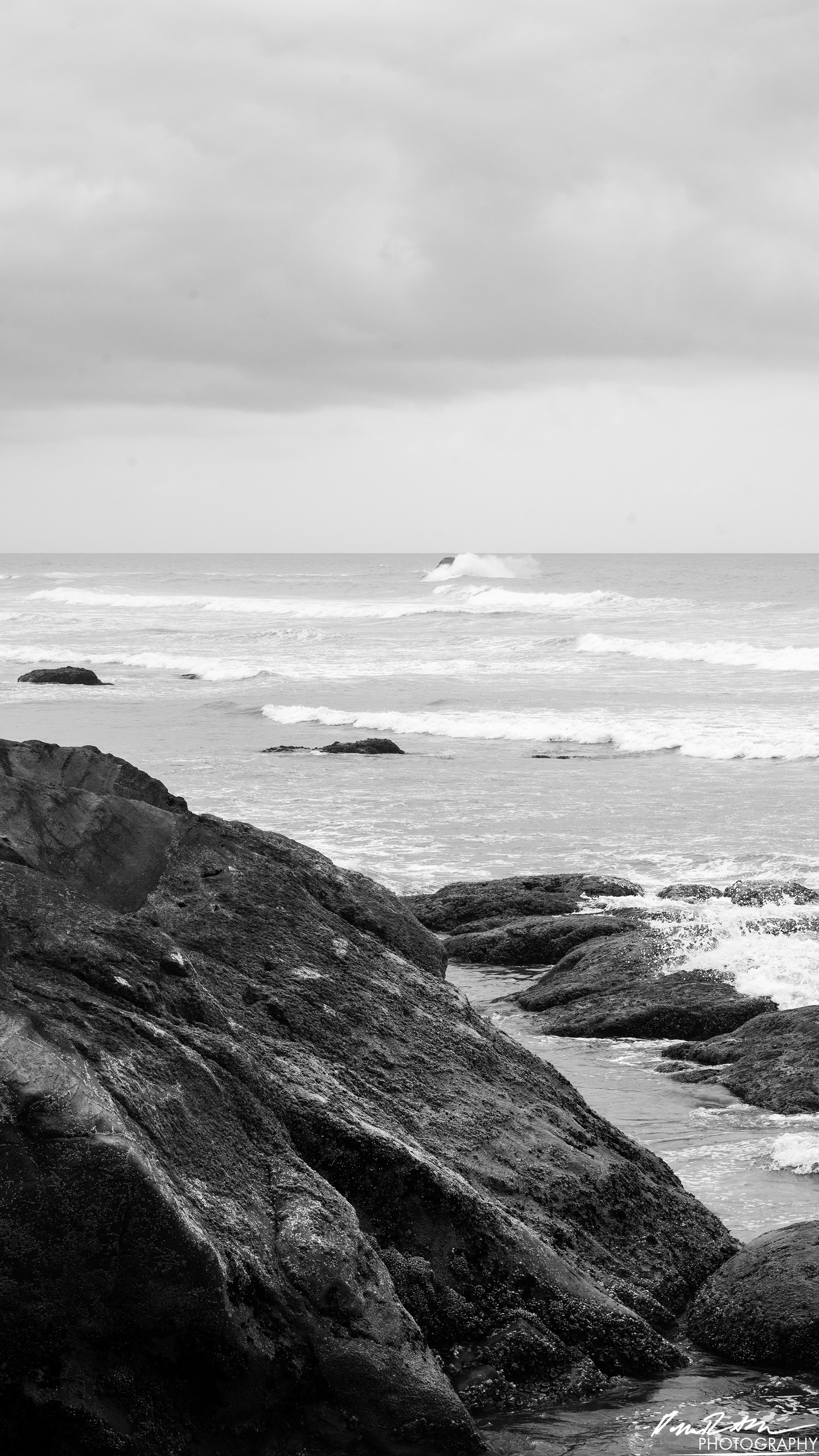 The Beach of Life - Kalaloch 