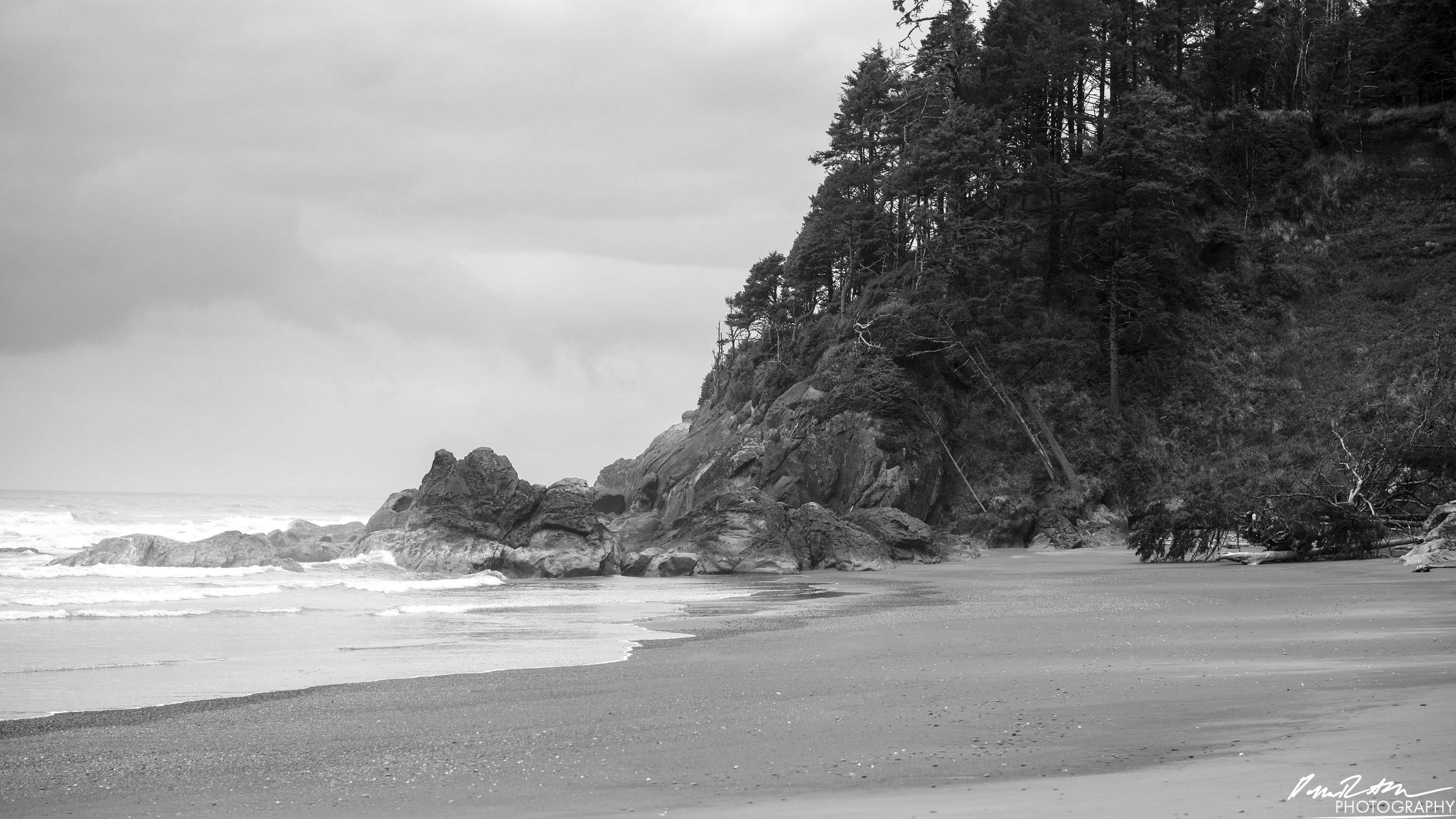 The Beach of Life - Kalaloch 