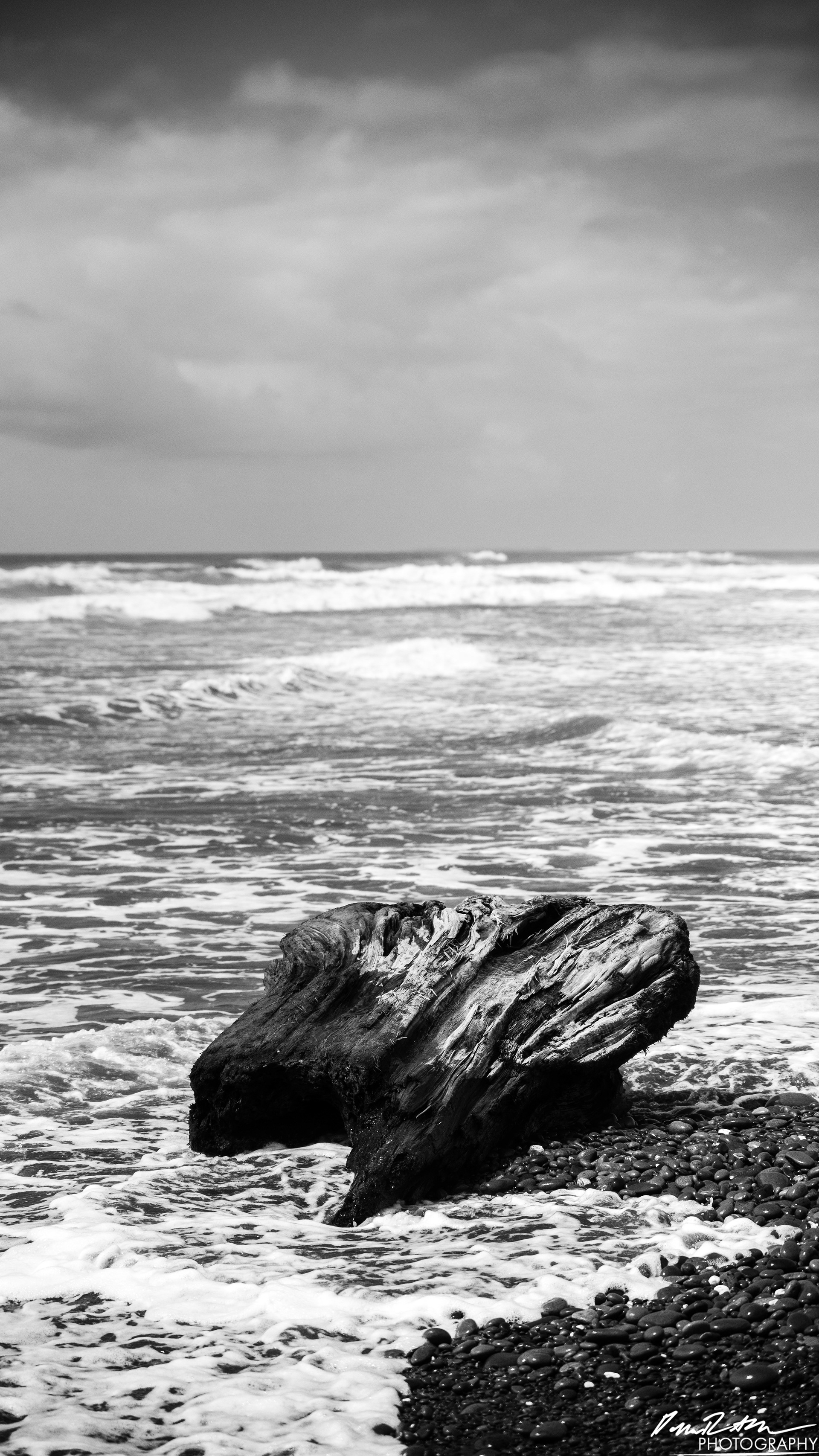 The Beach of Life - Kalaloch 