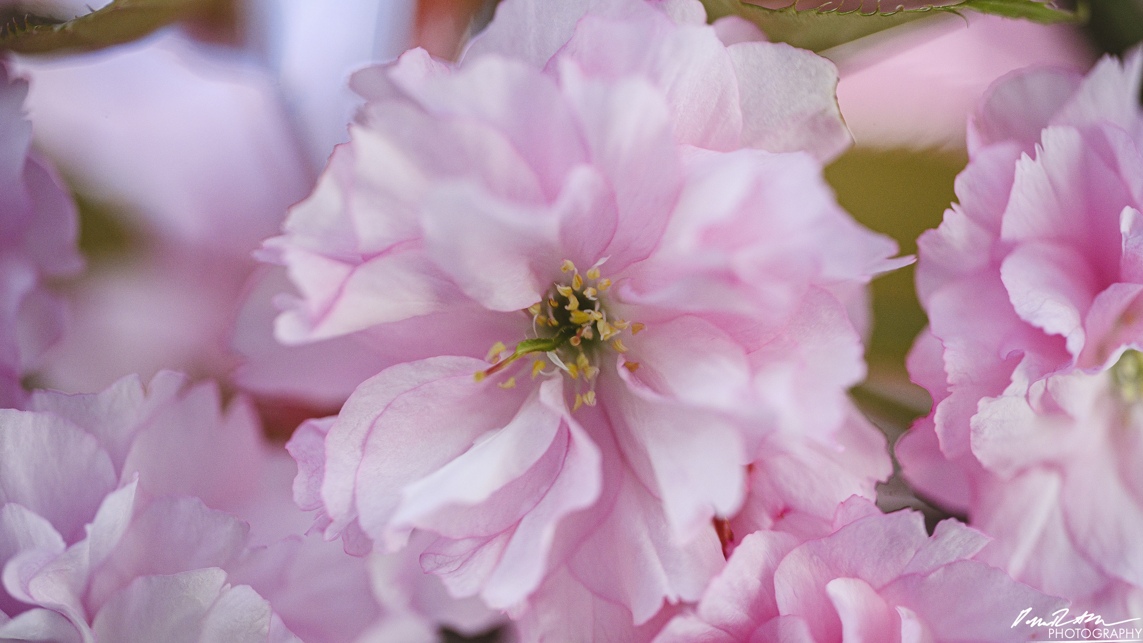 Big World - Enumclaw WA