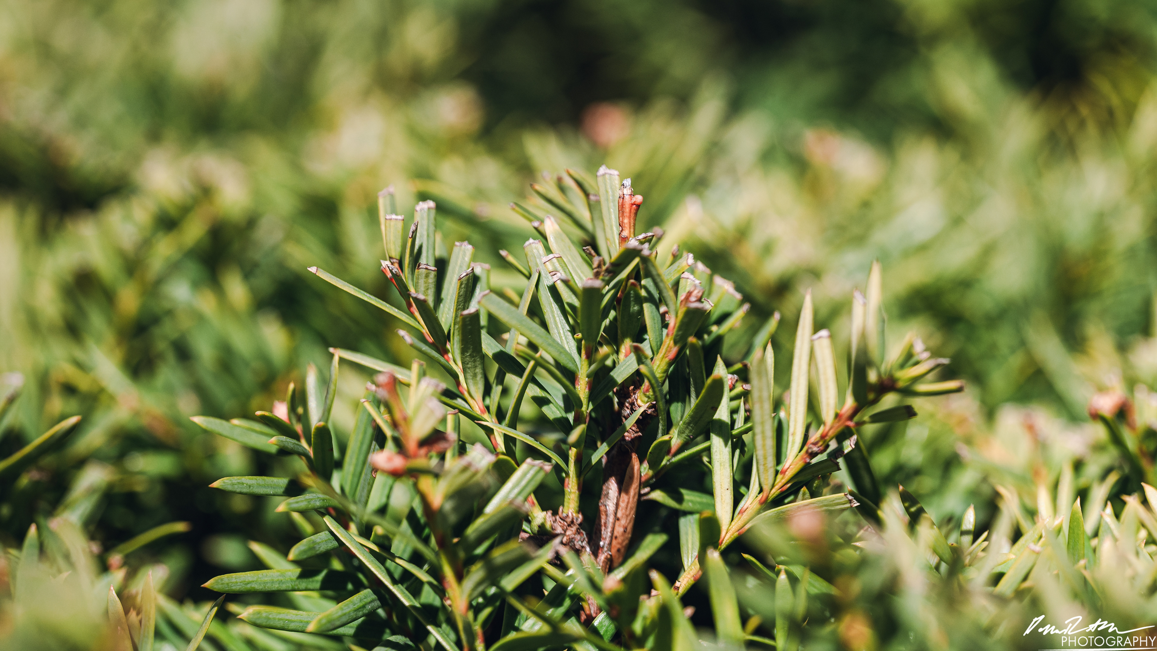 Big World - Enumclaw WA