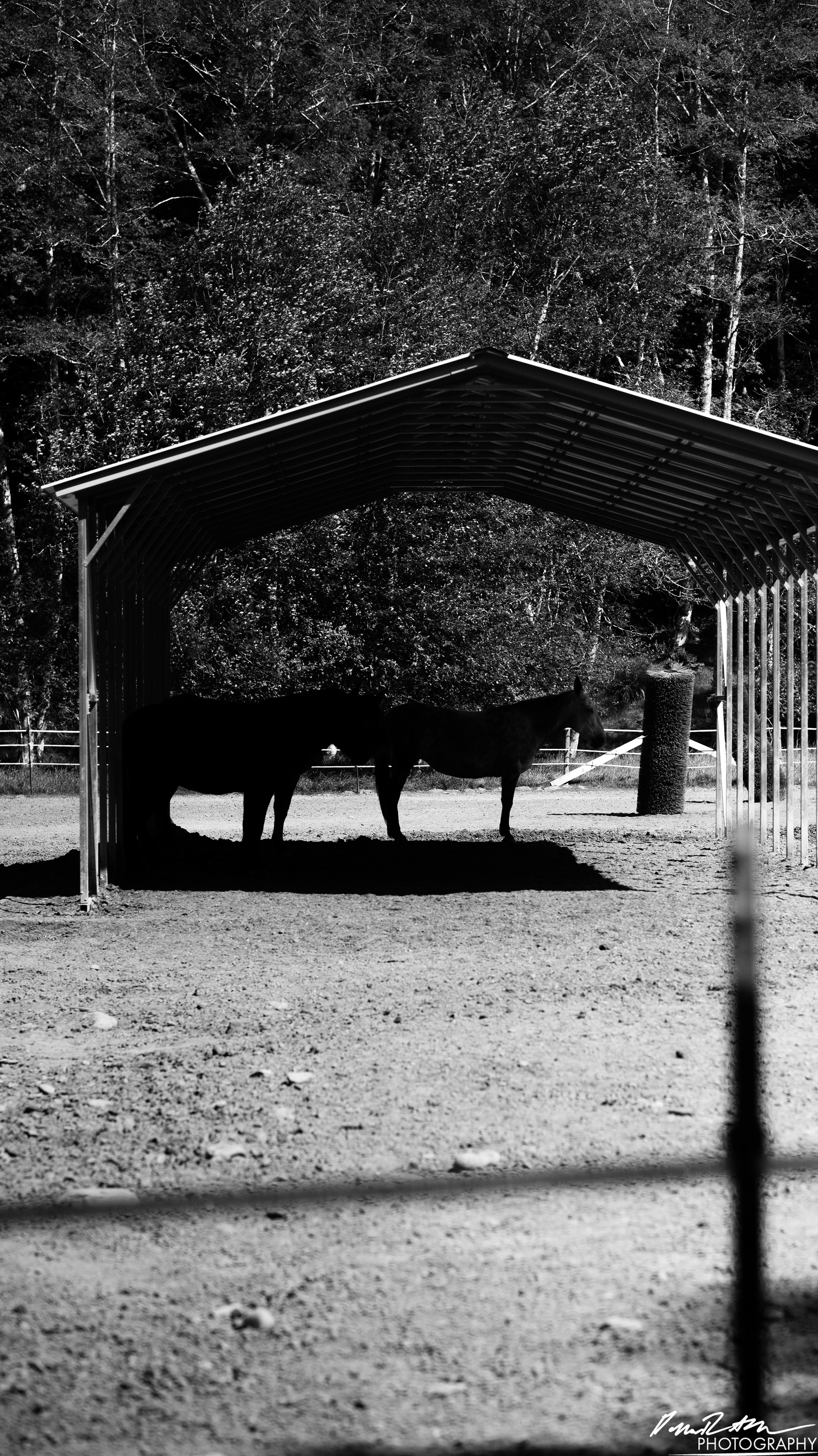 Hot Springs - Olympic National Park