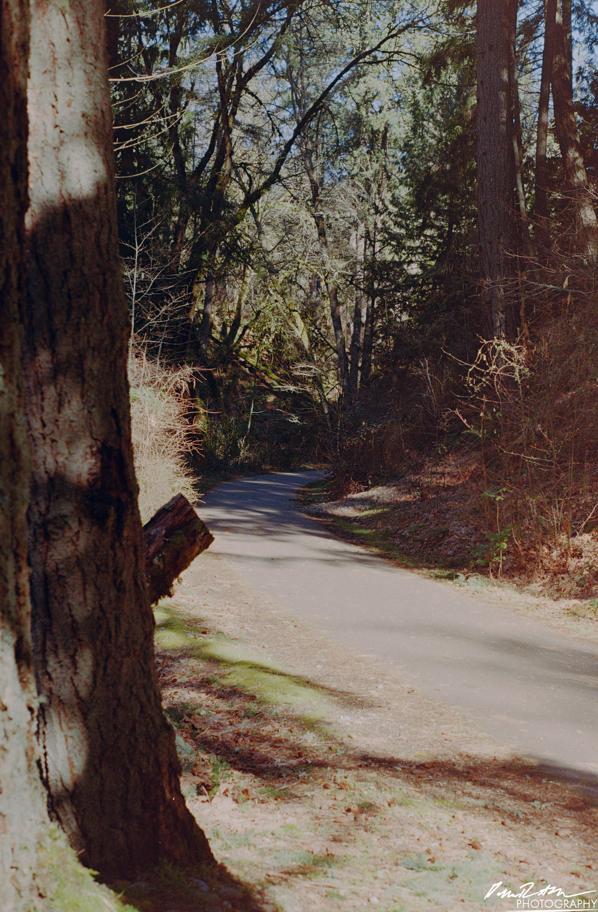 Fujifilm 400 - Dupont WA