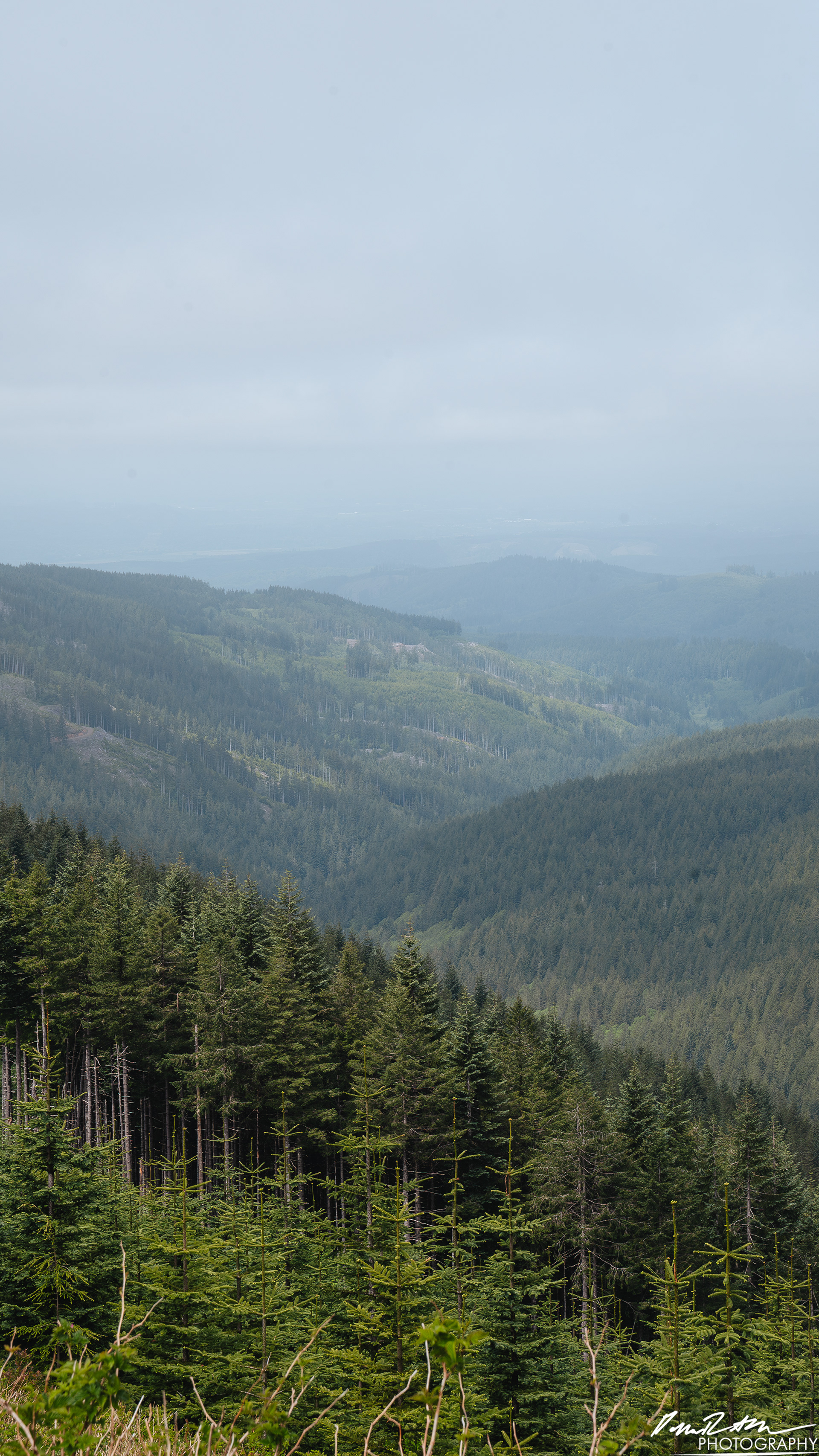 Numbers Station - Olympia WA