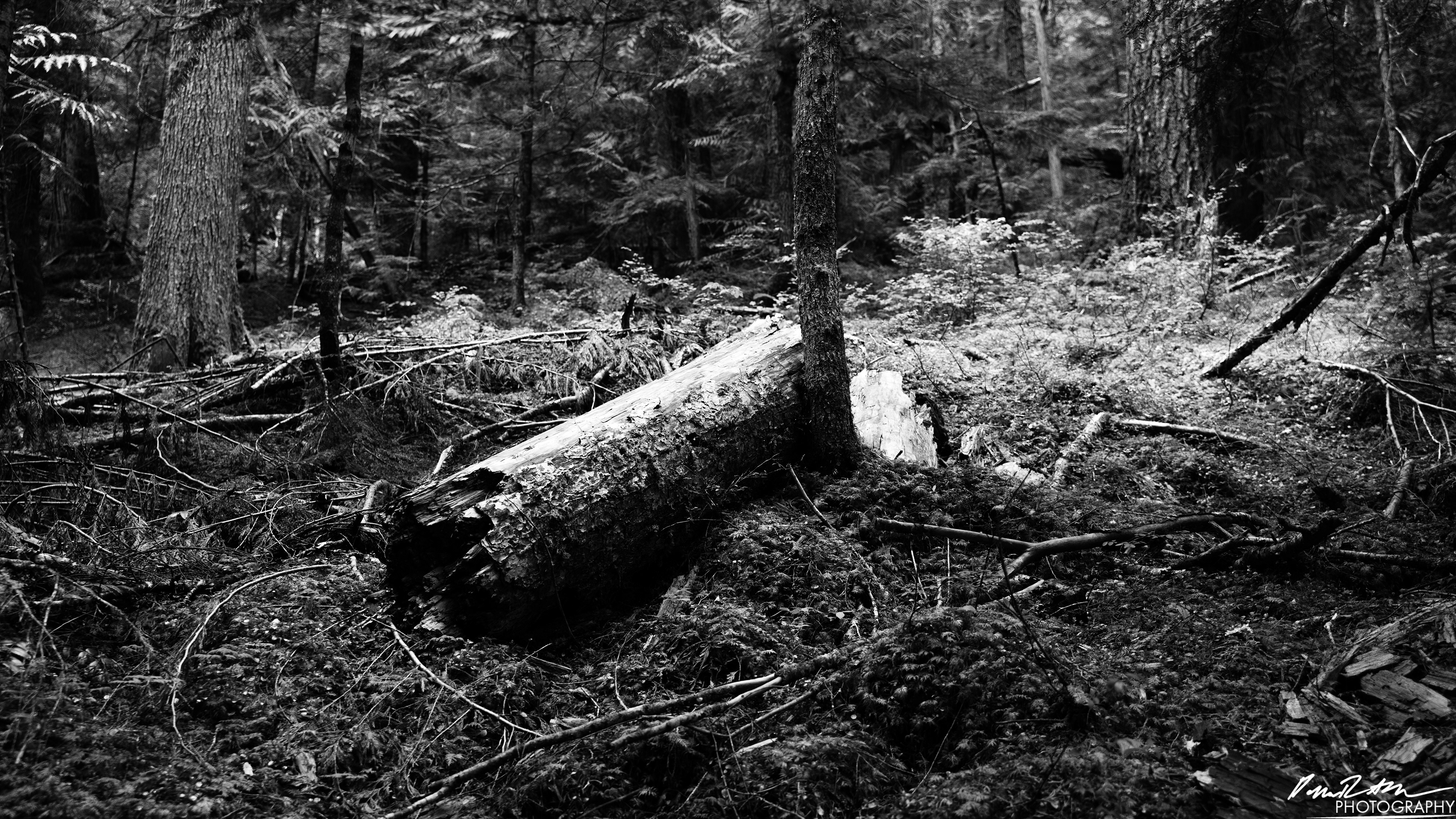 Snow Melt - Lena Lake