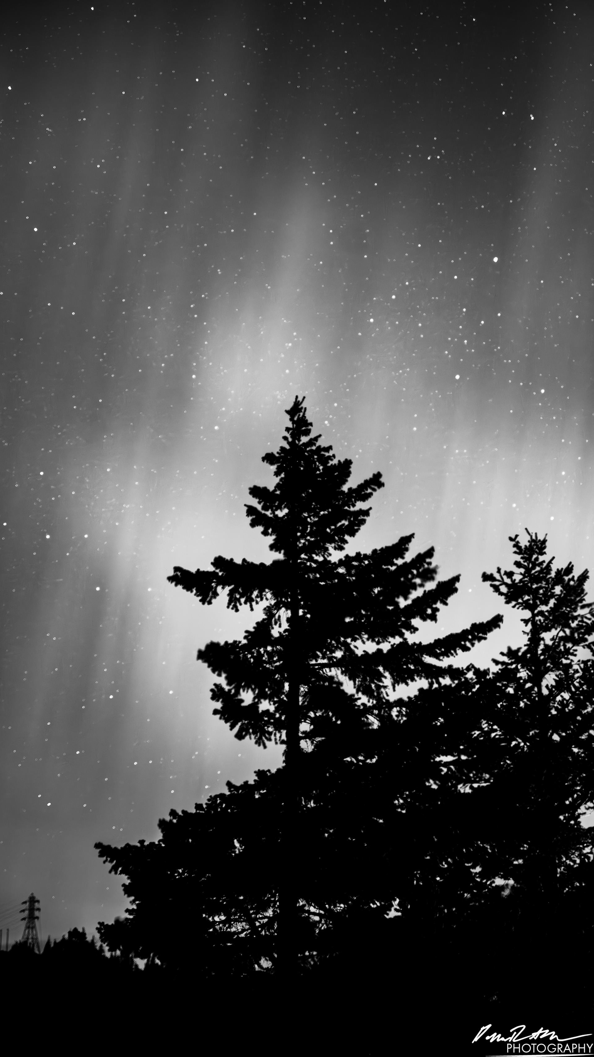 Aurora Borealis - Diablo Lake WA