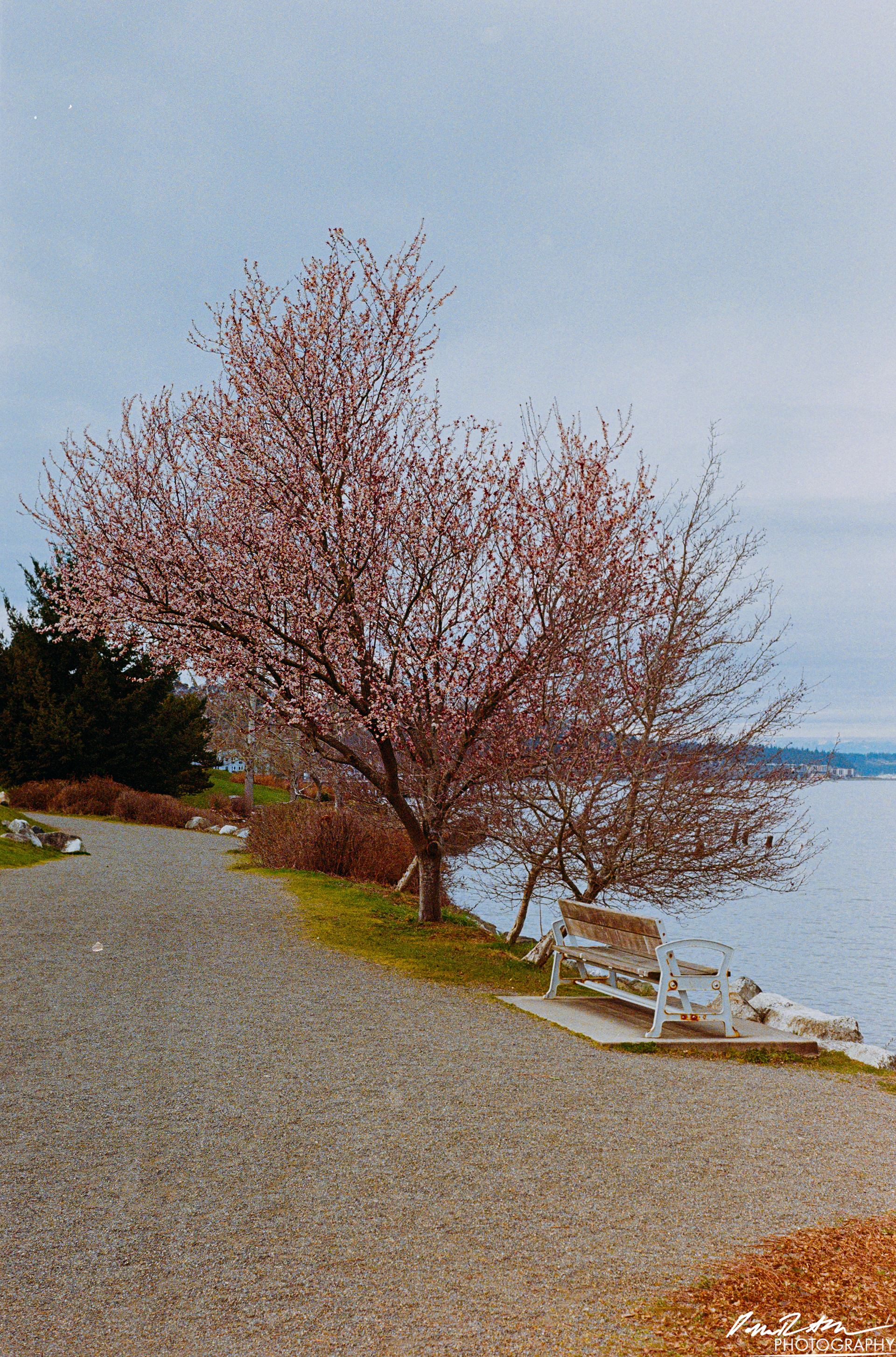Fujifilm 400 - Tacoma WA