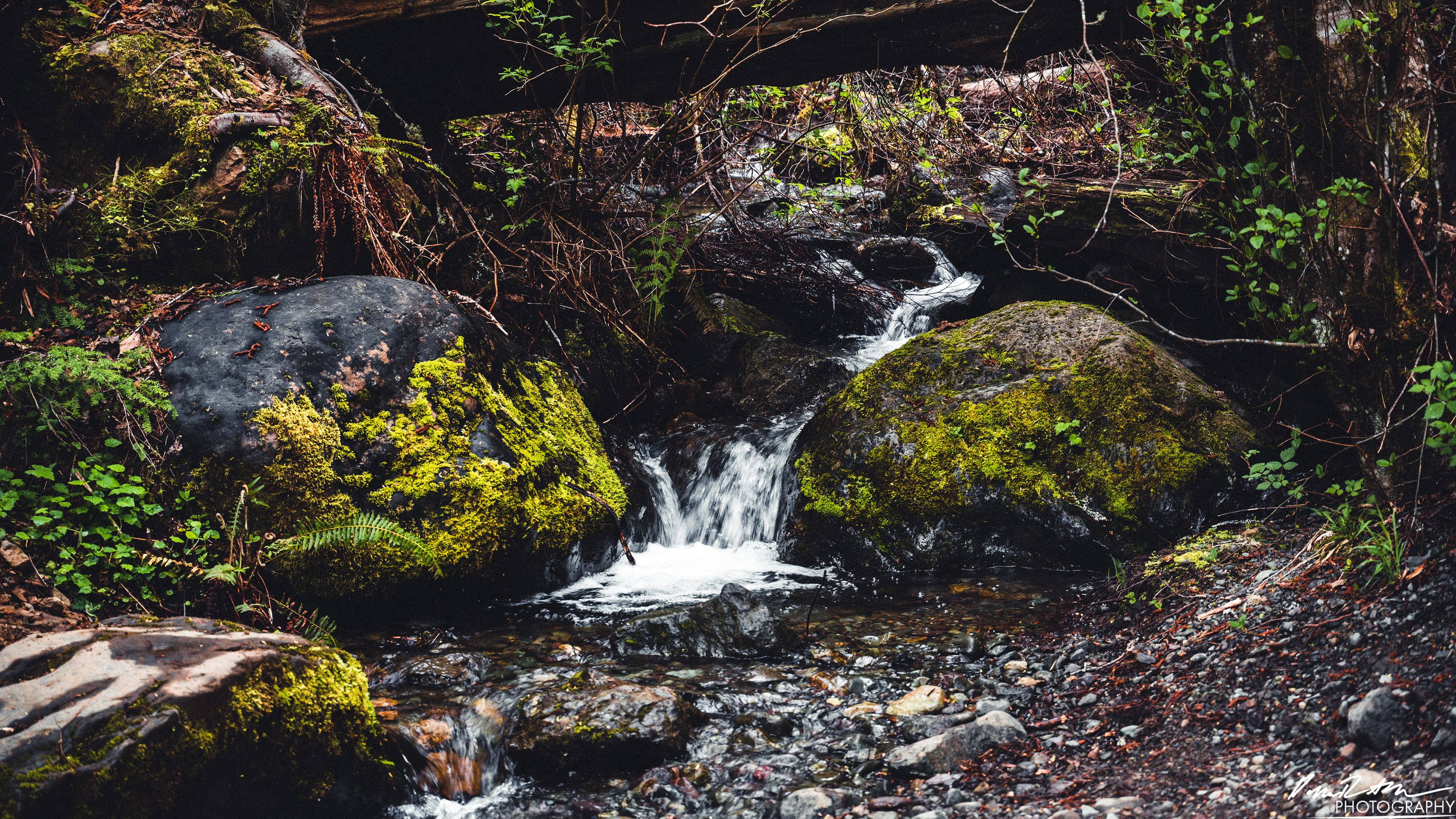Snow Melt - Lena Lake