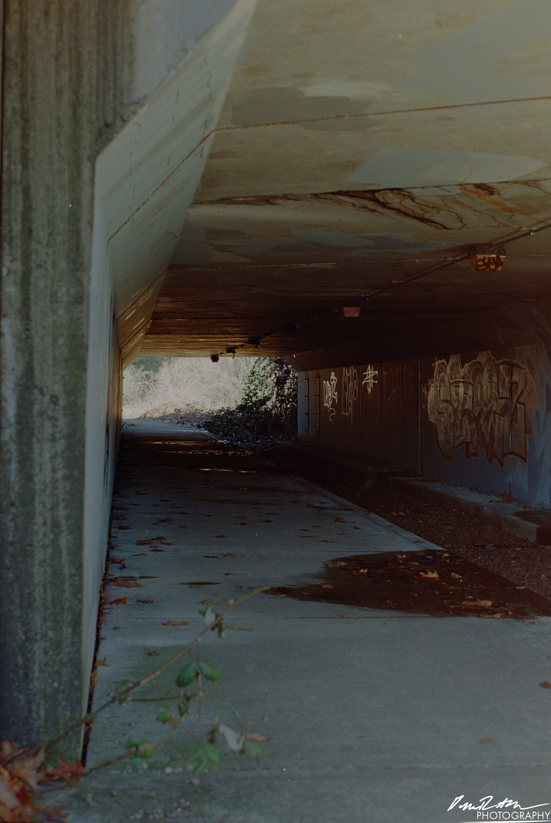 Fujifilm 400 - Dupont WA